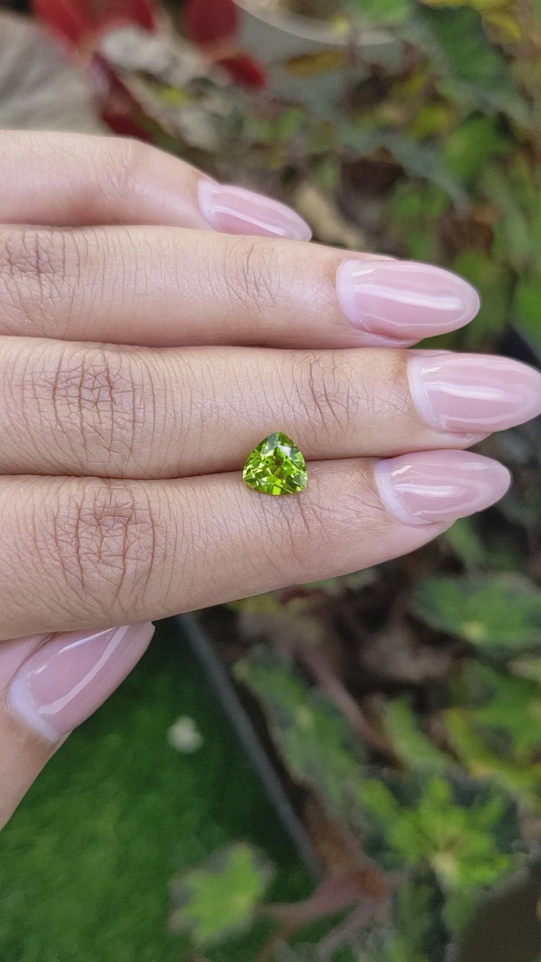 1.46 Ct. Yellowish Green Peridot from Pakistan Size Video