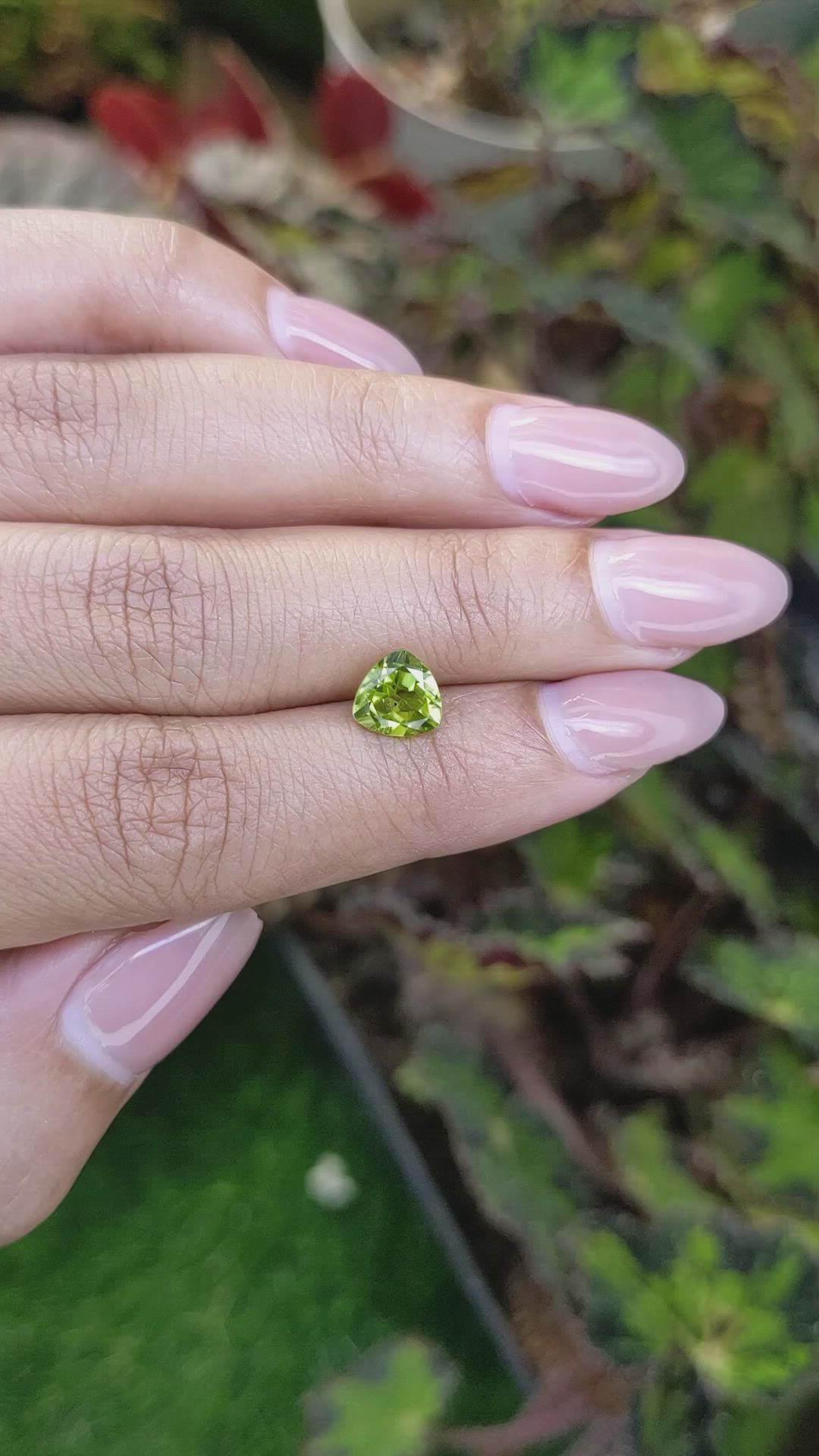 1.42 Ct. Yellowish Green Peridot from Pakistan Size Video