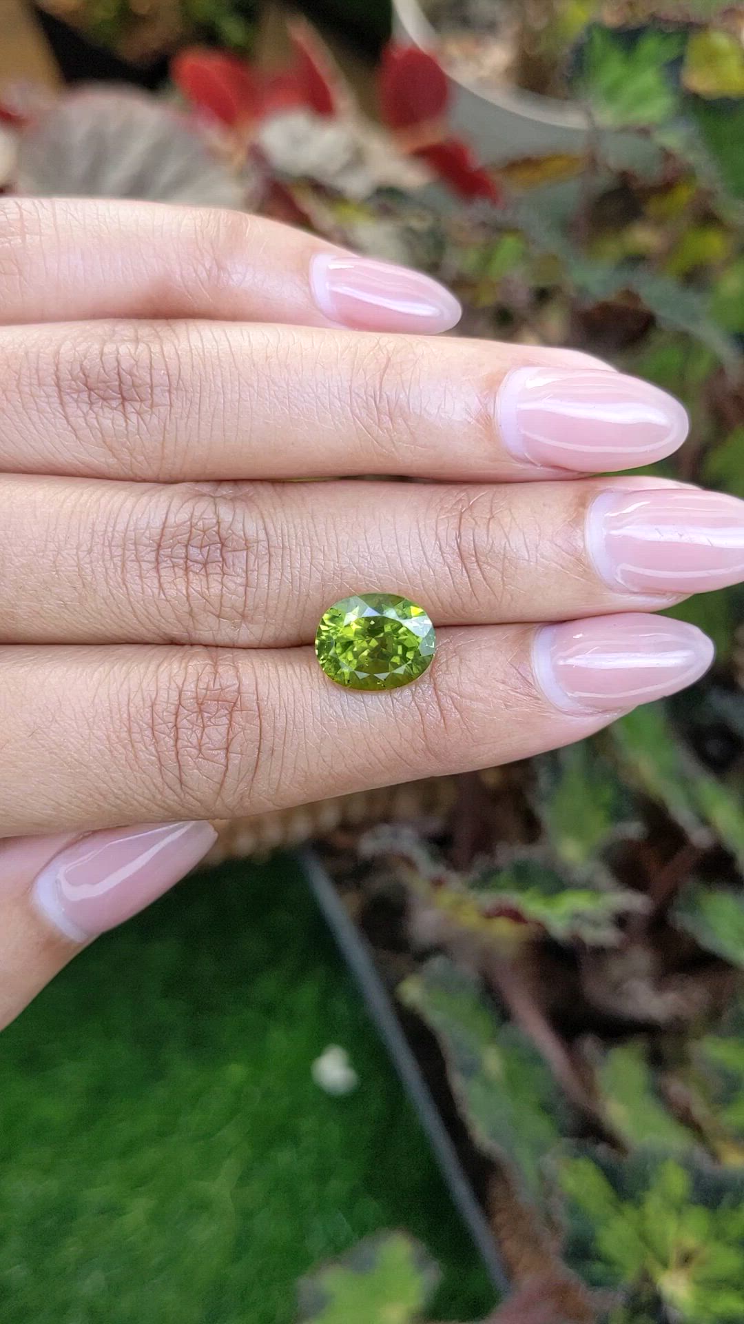 4.87 Ct. Yellowish Green Peridot from Pakistan Size Video