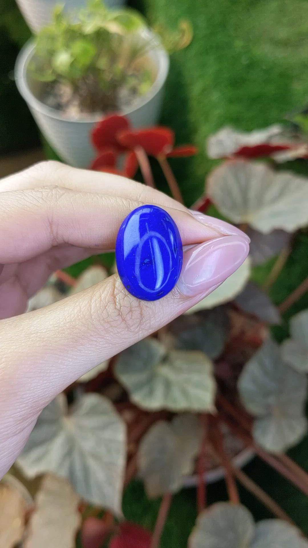 15.91 Ct. Cabochon Lapis from Afghanistan Size Video