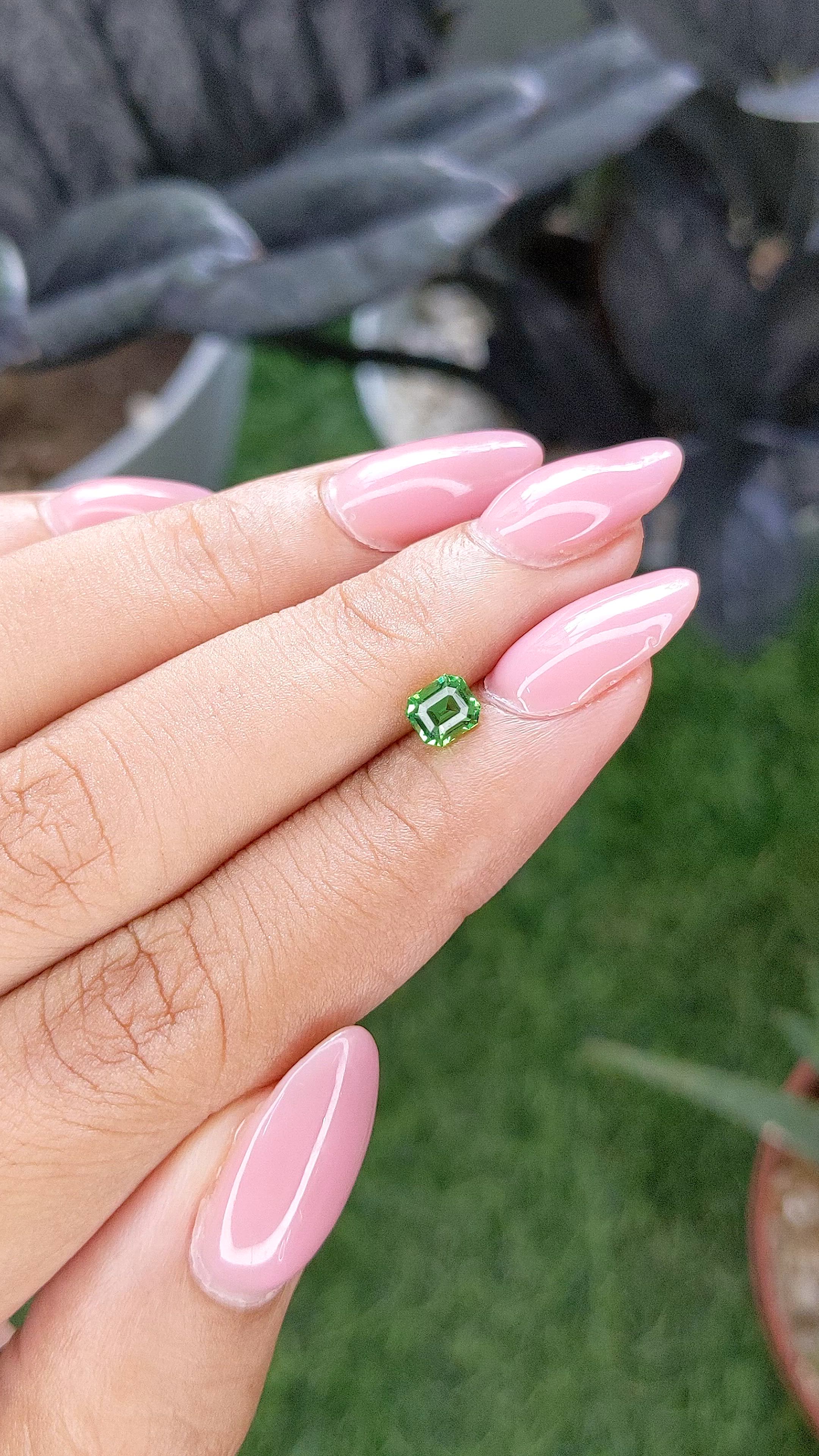 0.61 Ct. Tsavorite Garnet from Tanzania Size Video
