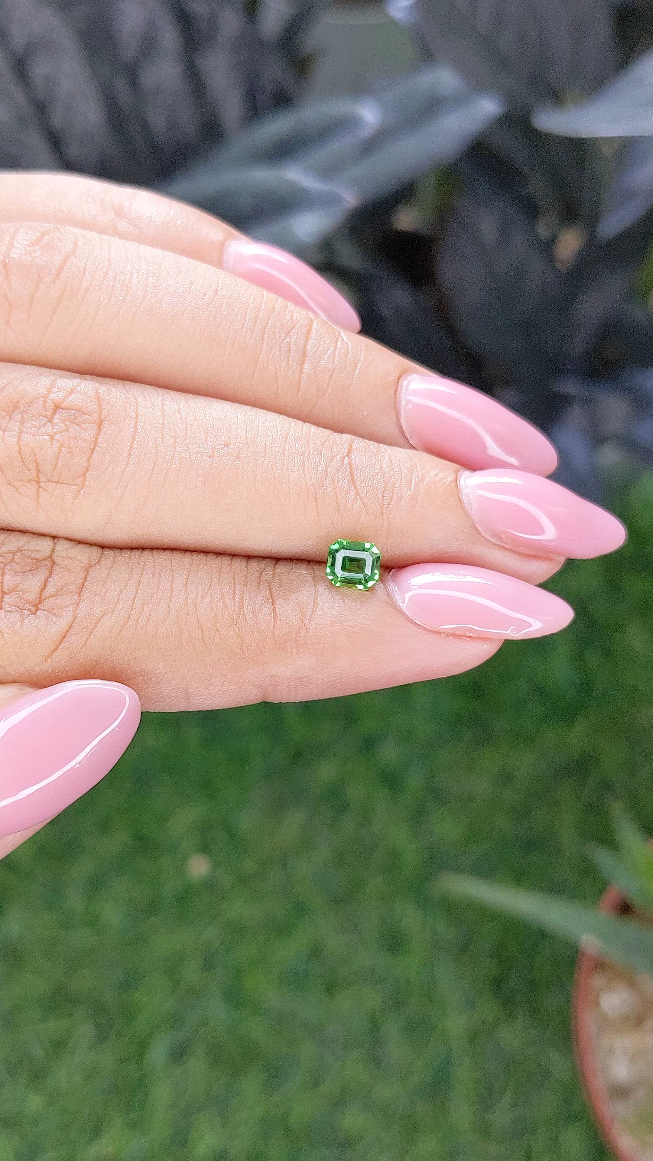 0.61 Ct. Tsavorite Garnet from Tanzania Size Video