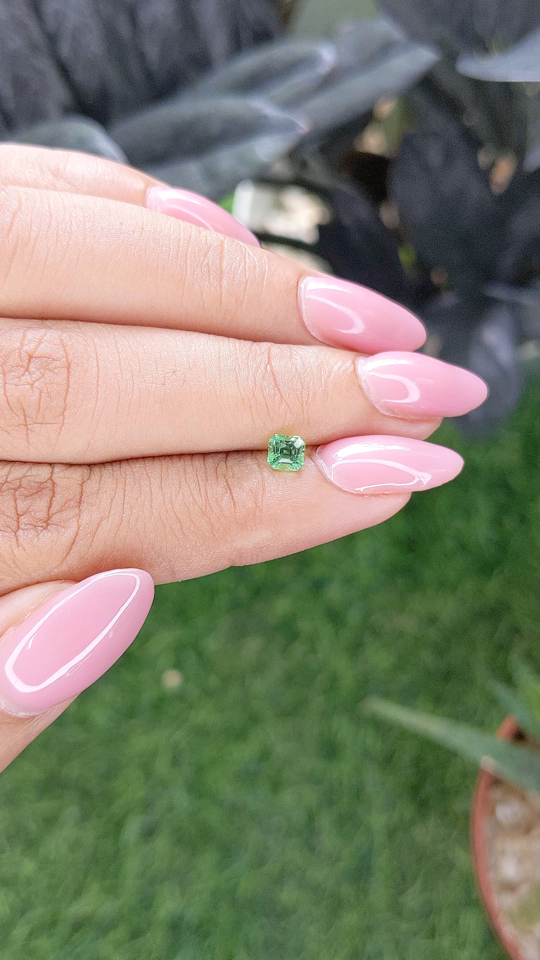 0.48 Ct. Tsavorite Garnet from Tanzania Size Video