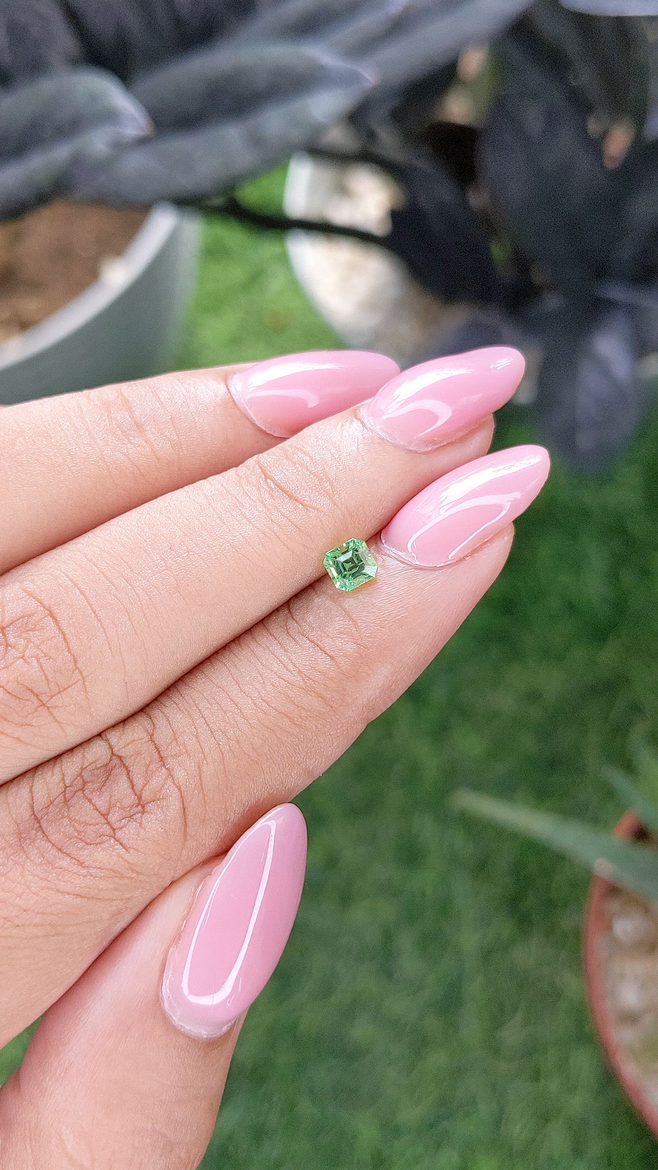 0.48 Ct. Tsavorite Garnet from Tanzania Size Video