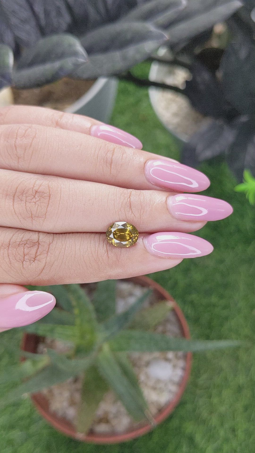 3.02 Ct. Yellowish Brown Zircon from Ceylon (Sri Lanka) Size Video