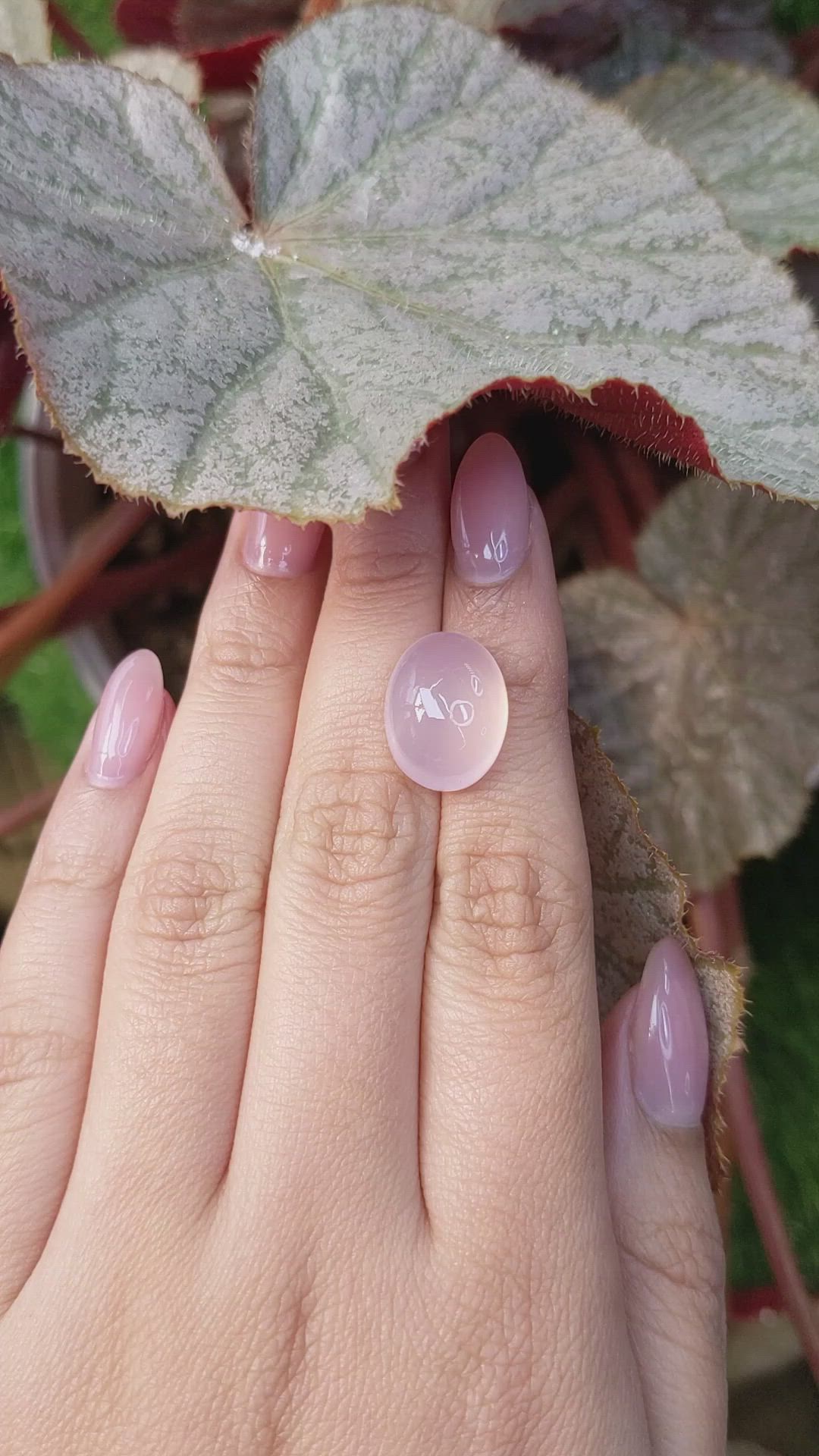11.03 Ct. Pink Cabochon Rose Quartz from Brazil Size Video