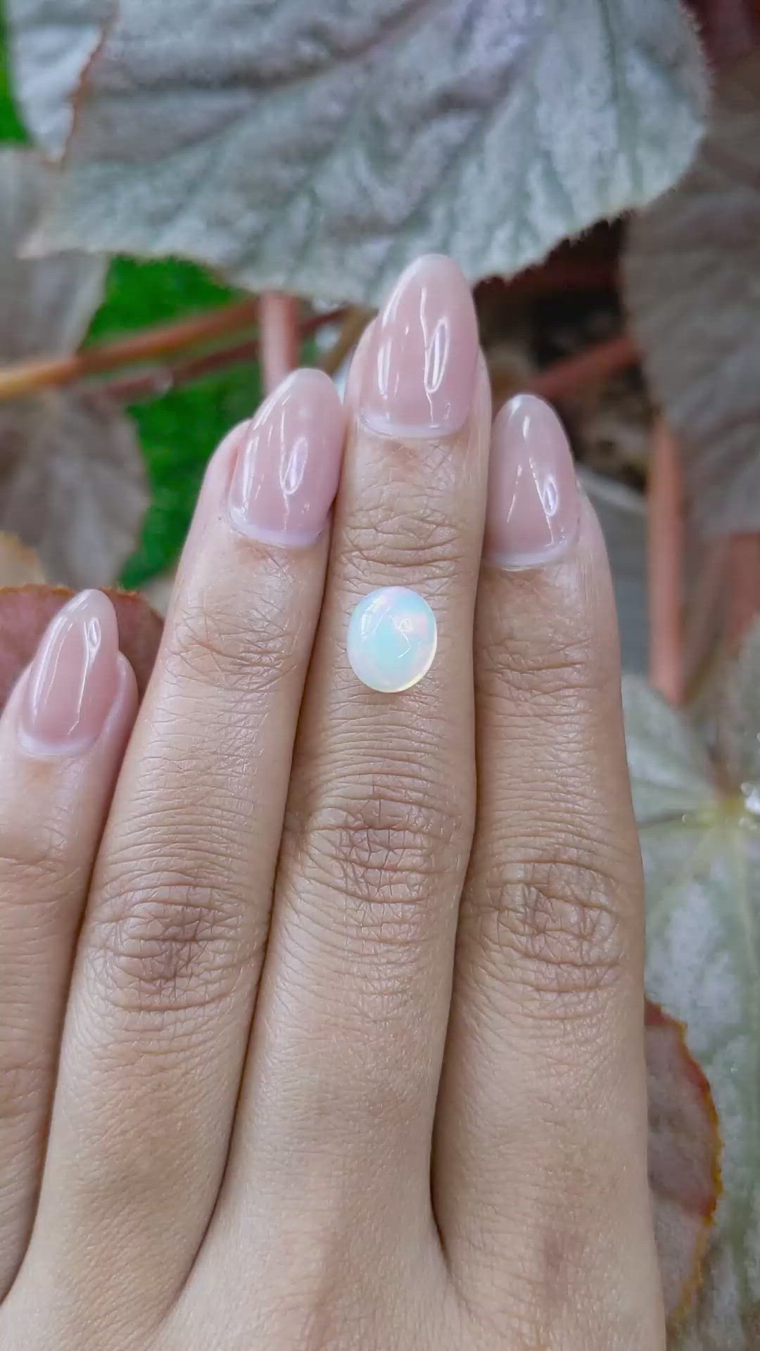 1.77 Ct. Multi Color Cabochon Fire Opal (Flame Opal) from Ethiopia Size Video