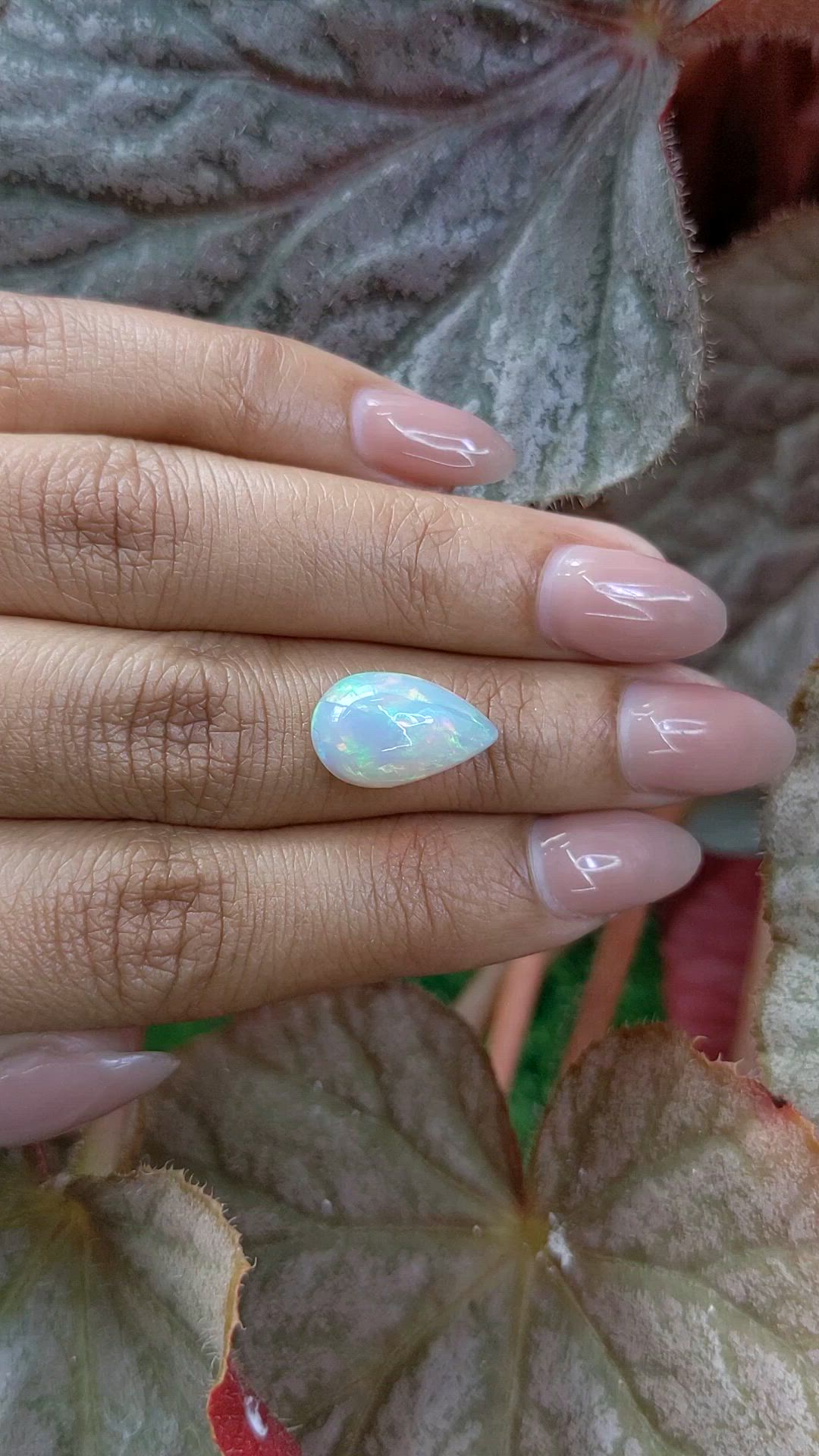 3.83 Ct. Multi Color Cabochon Fire Opal (Flame Opal) from Ethiopia Size Video