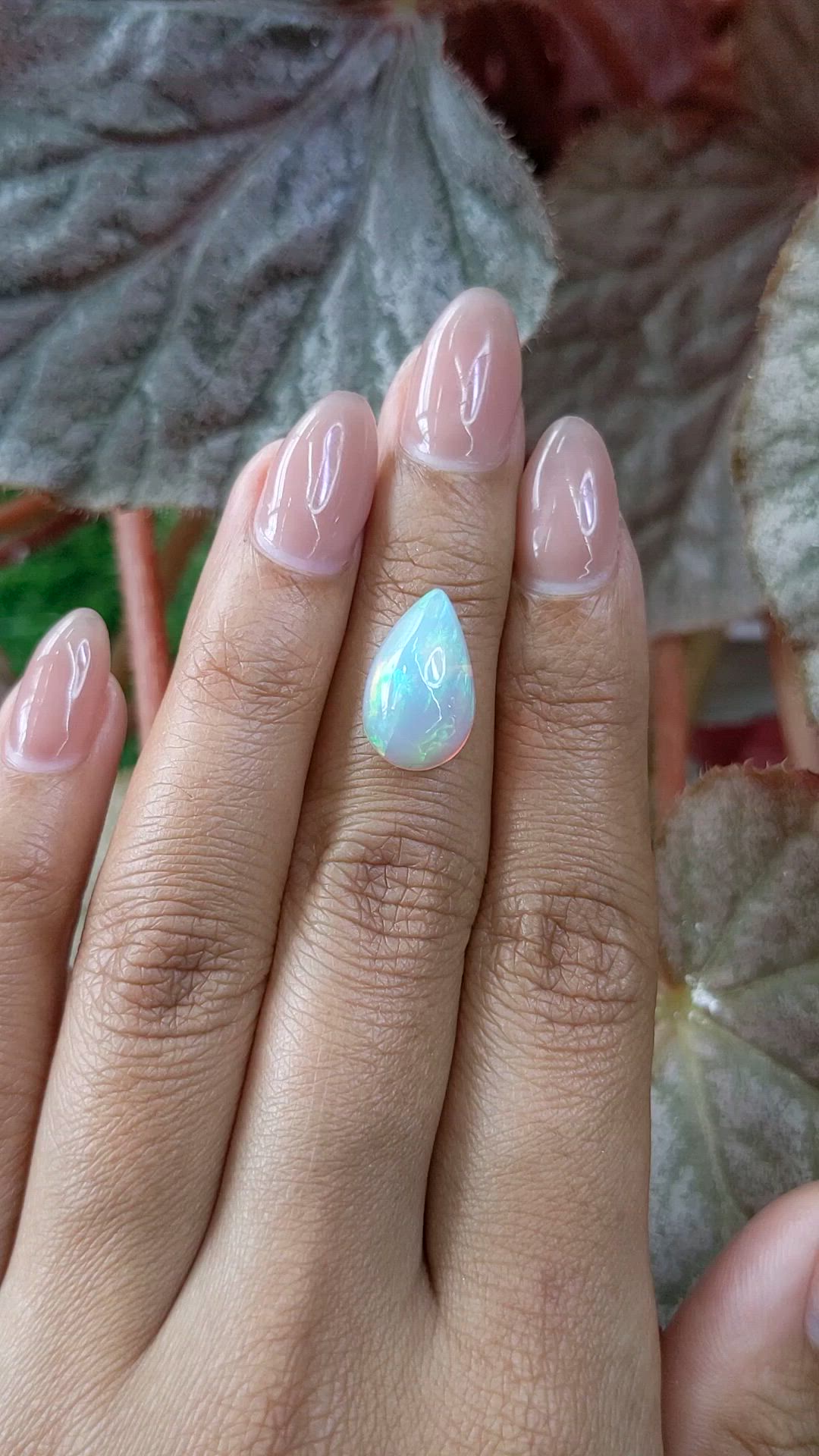 3.83 Ct. Multi Color Cabochon Fire Opal (Flame Opal) from Ethiopia Size Video