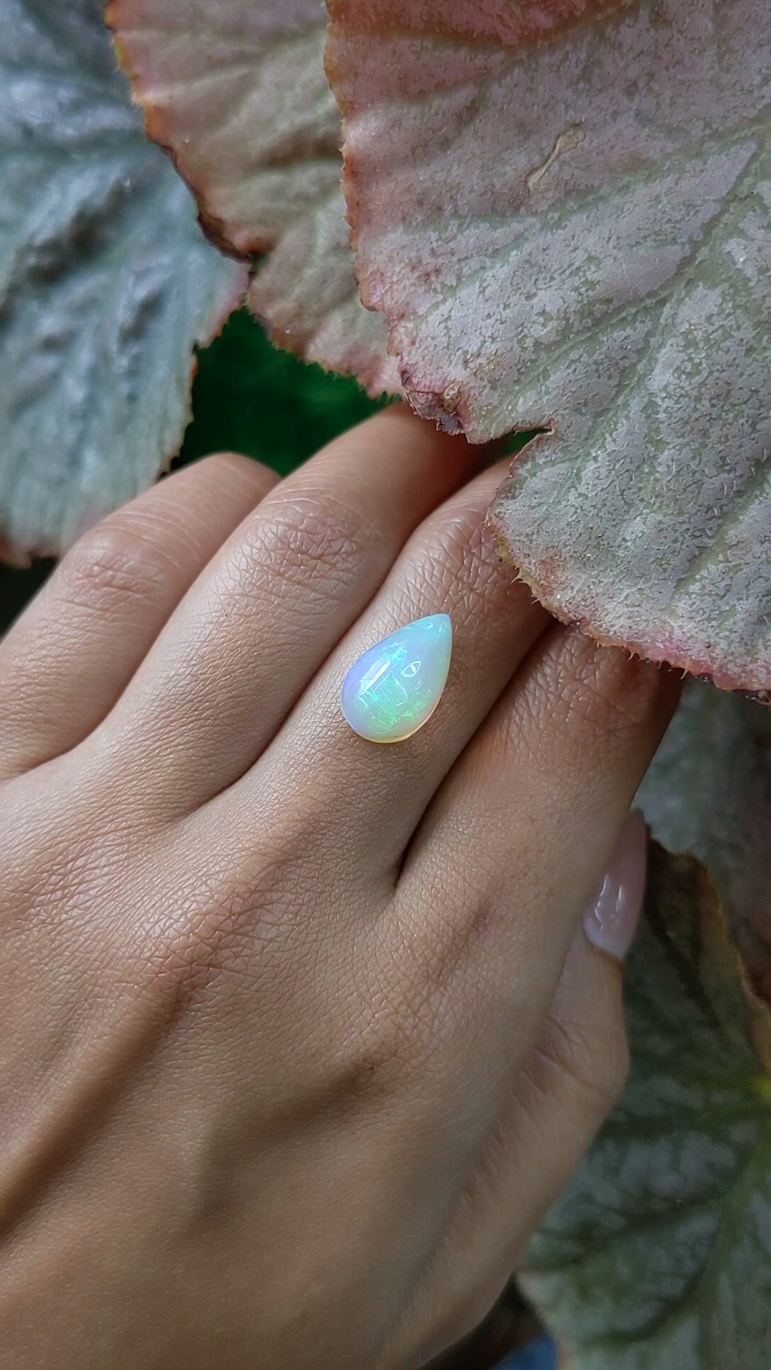3.59 Ct. Multi Color Cabochon Fire Opal (Flame Opal) from Ethiopia Size Video