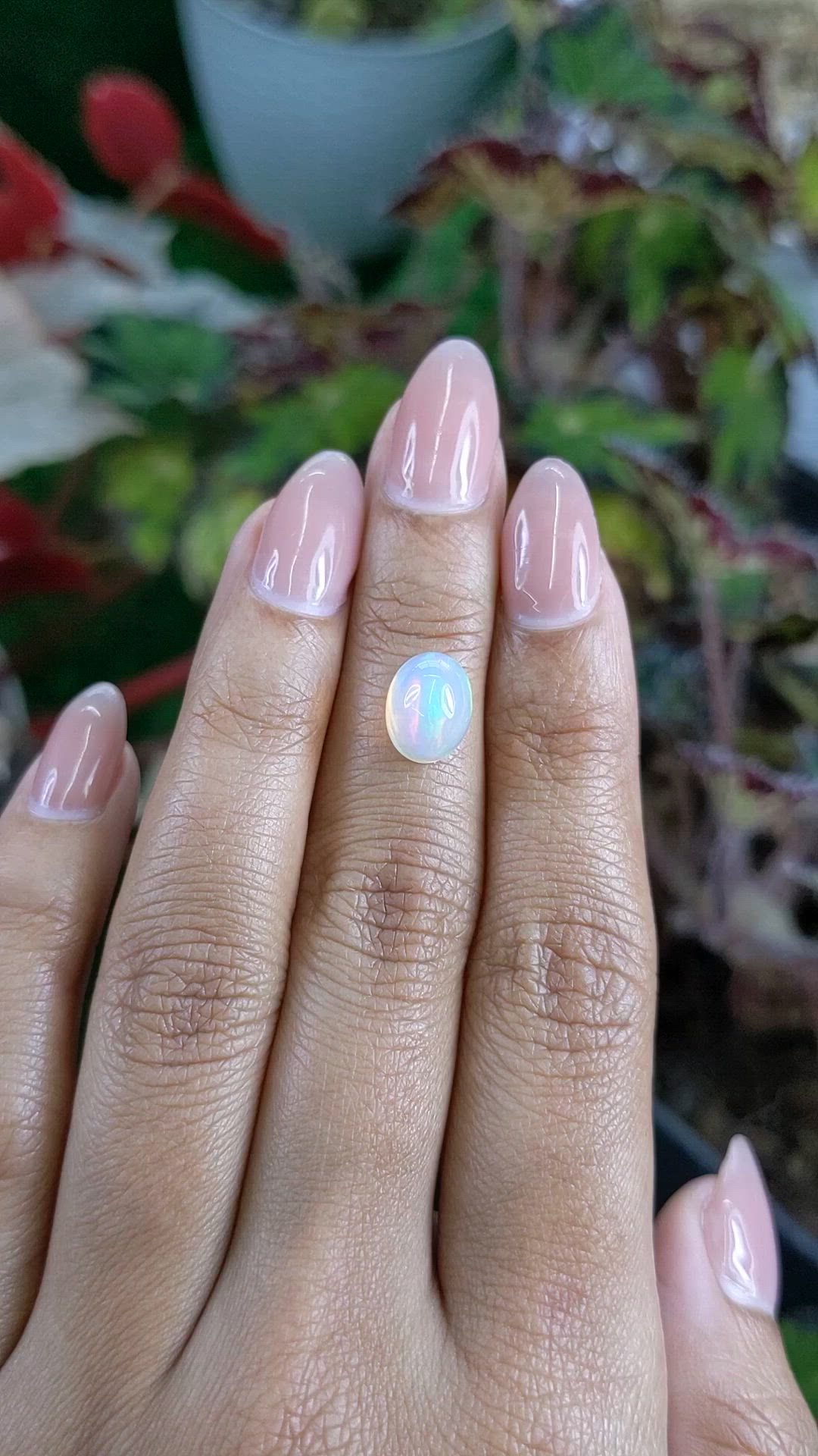 1.91 Ct. Multi Color Cabochon Fire Opal (Flame Opal) from Ethiopia Size Video
