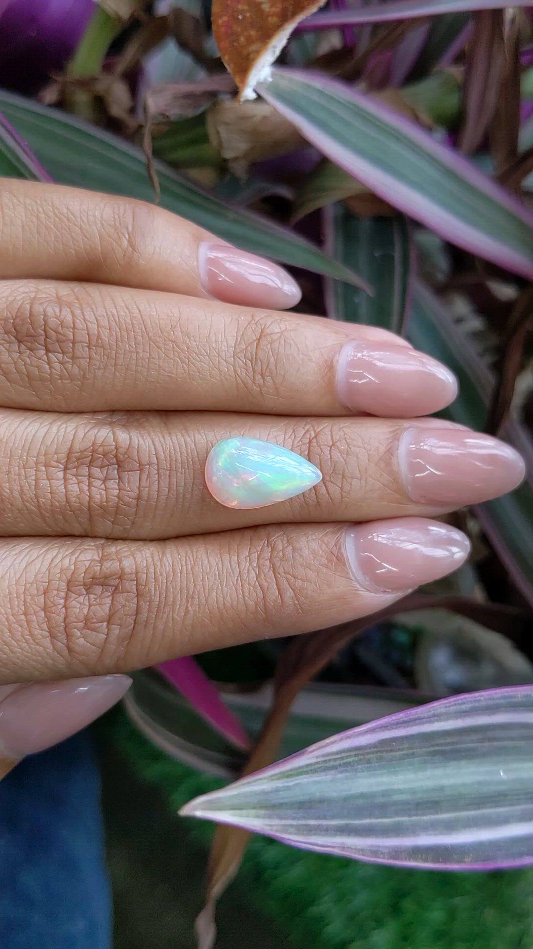 2.34 Ct. Multi Color Cabochon Fire Opal (Flame Opal) from Ethiopia Size Video