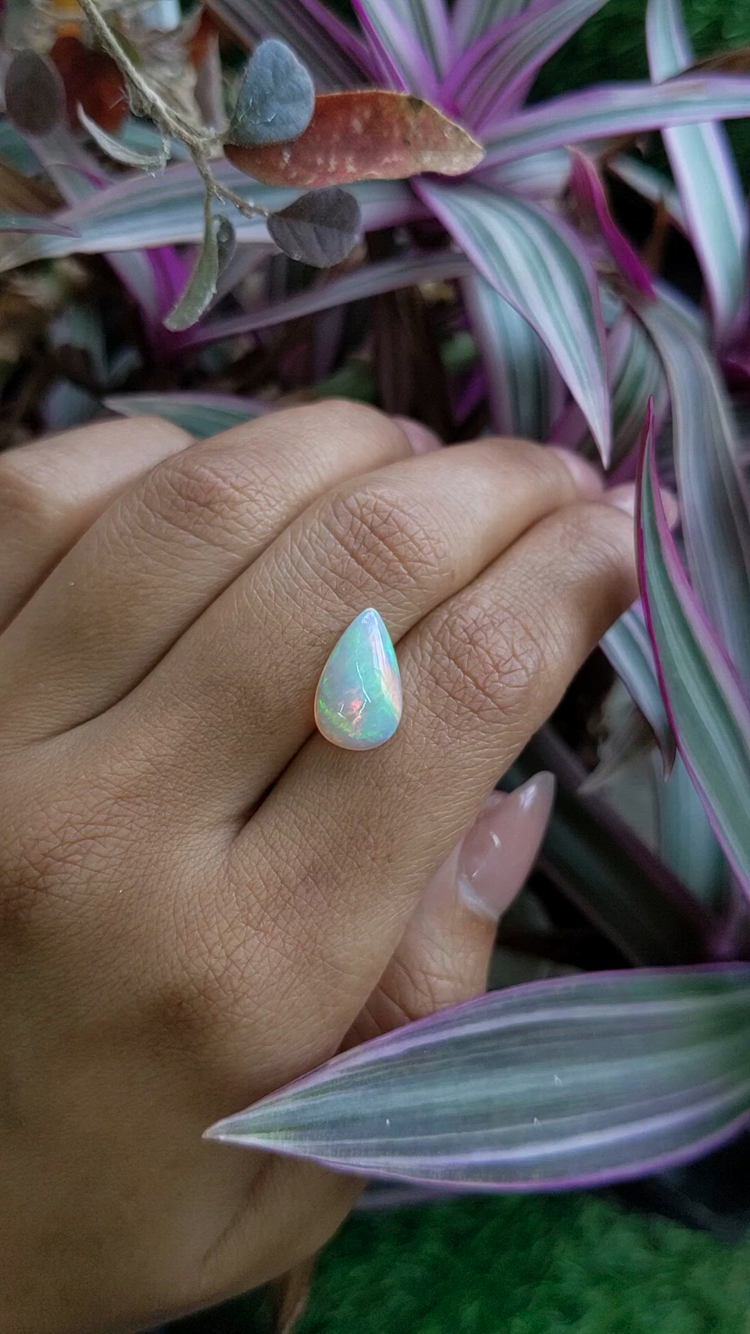 2.34 Ct. Multi Color Cabochon Fire Opal (Flame Opal) from Ethiopia Size Video