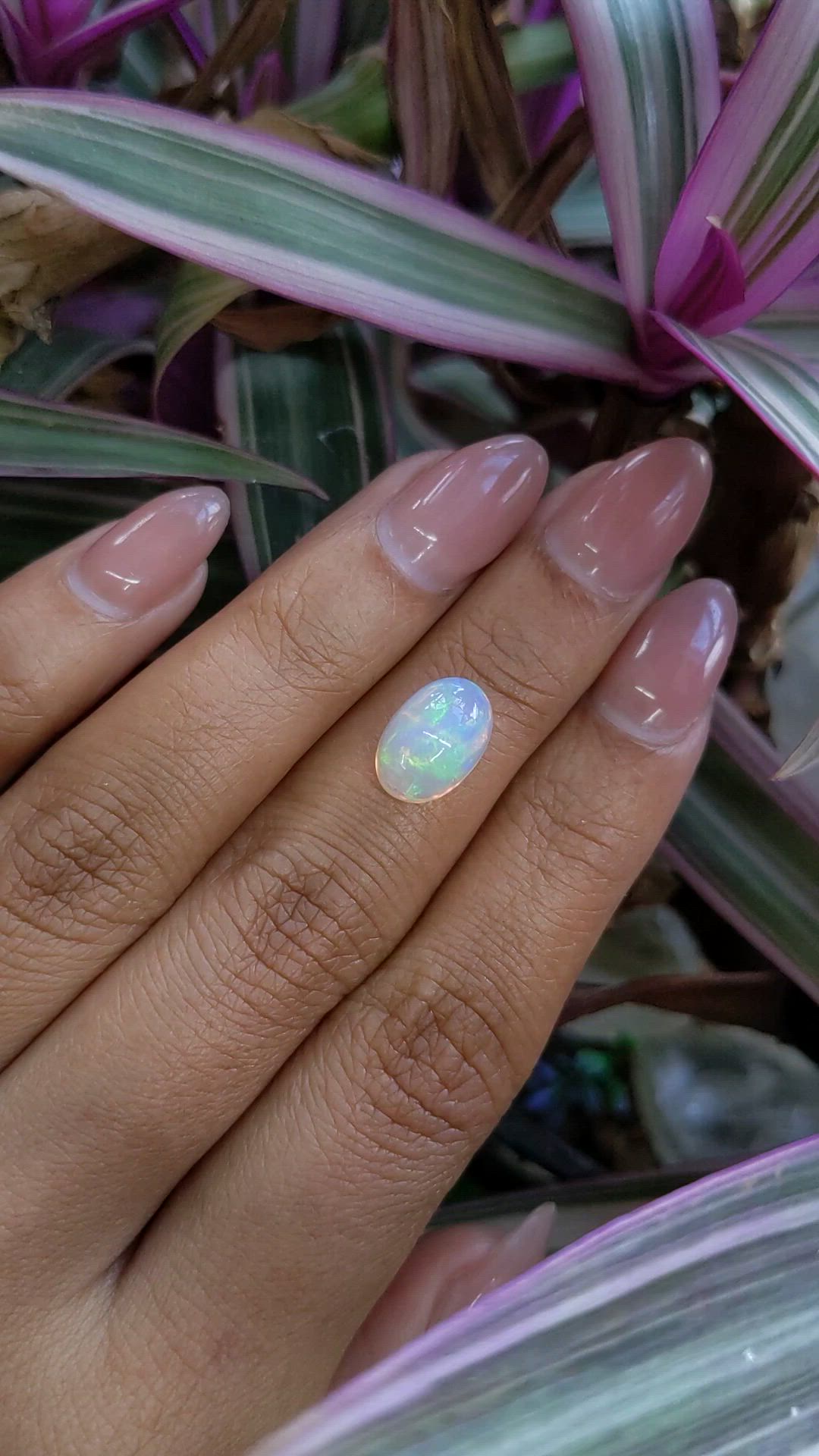 2.51 Ct. Multi Color Cabochon Fire Opal (Flame Opal) from Ethiopia Size Video