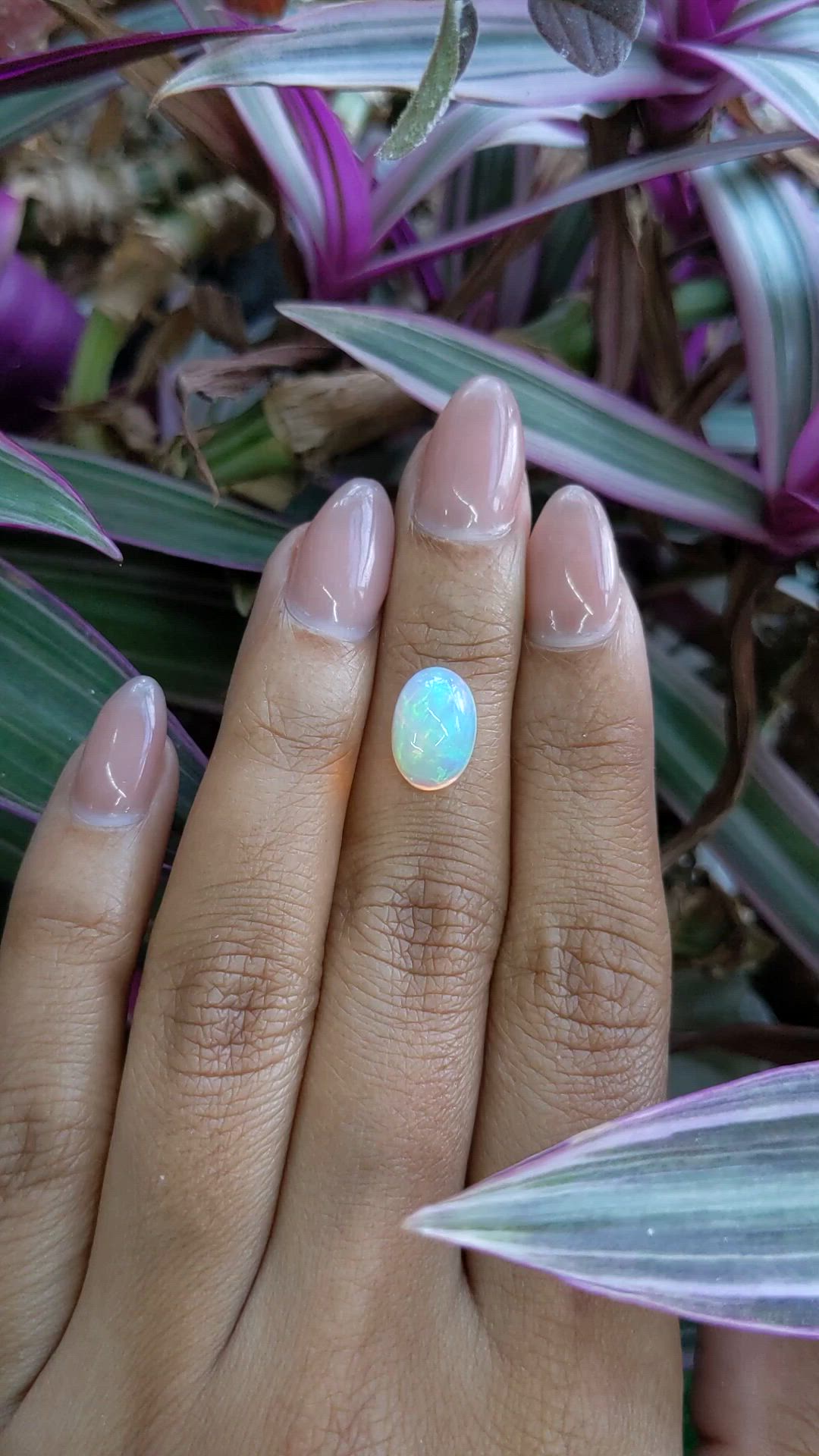 2.51 Ct. Multi Color Cabochon Fire Opal (Flame Opal) from Ethiopia Size Video