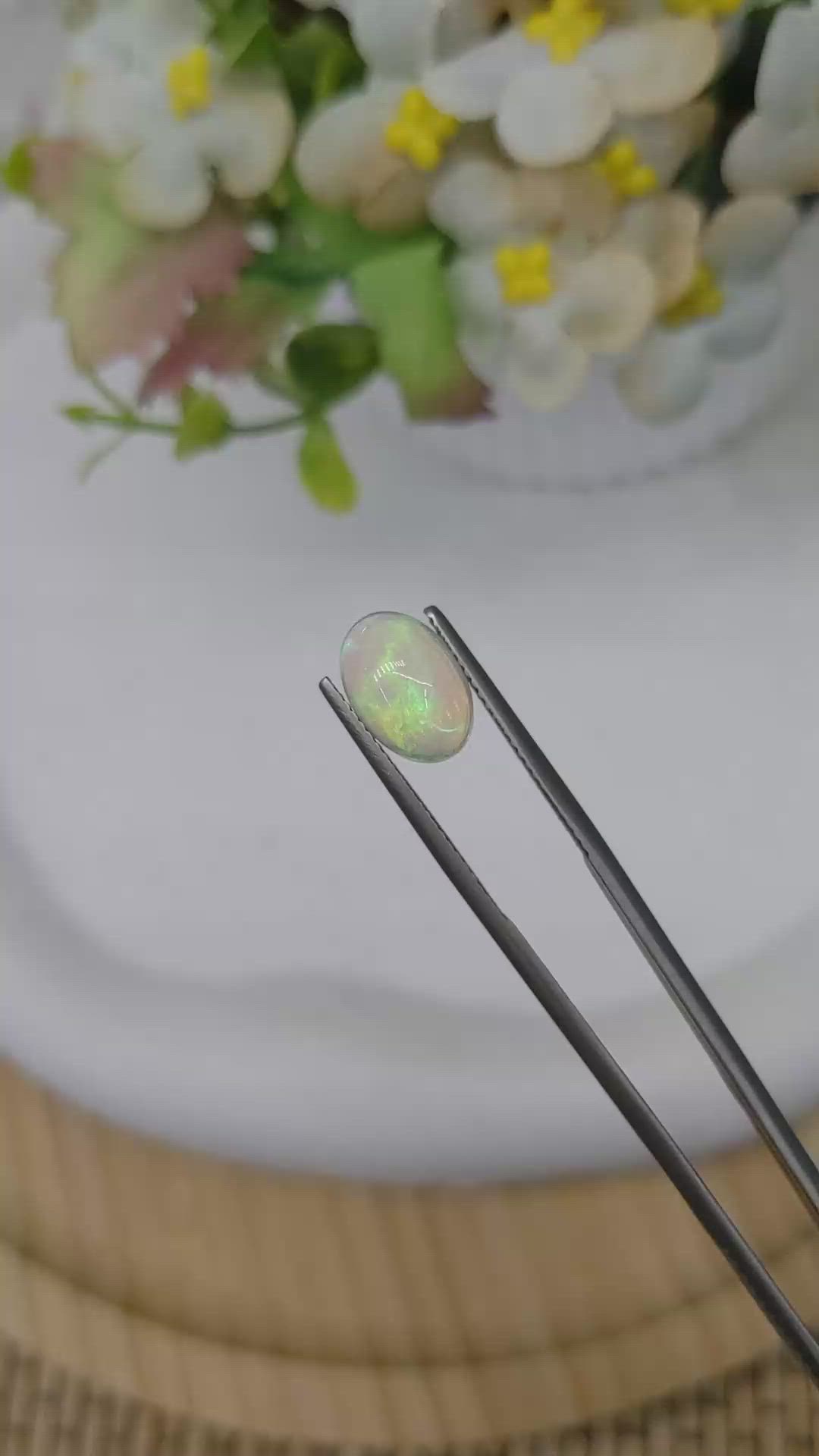 2.51 Ct. Multi Color Cabochon Fire Opal (Flame Opal) from Ethiopia Size Video