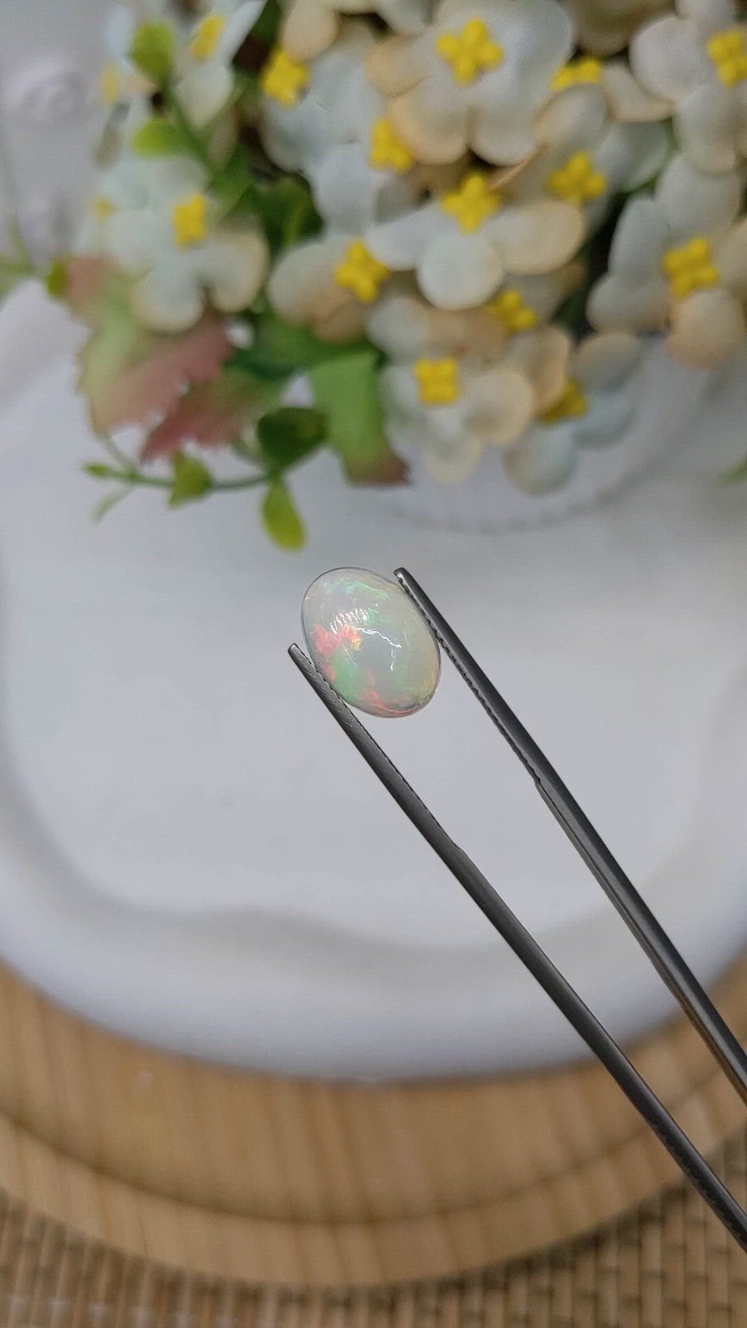 3.19 Ct. Multi Color Cabochon Fire Opal (Flame Opal) from Ethiopia Size Video