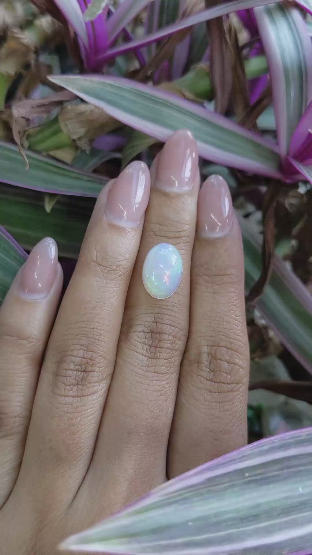 3.19 Ct. Multi Color Cabochon Fire Opal (Flame Opal) from Ethiopia Size Video