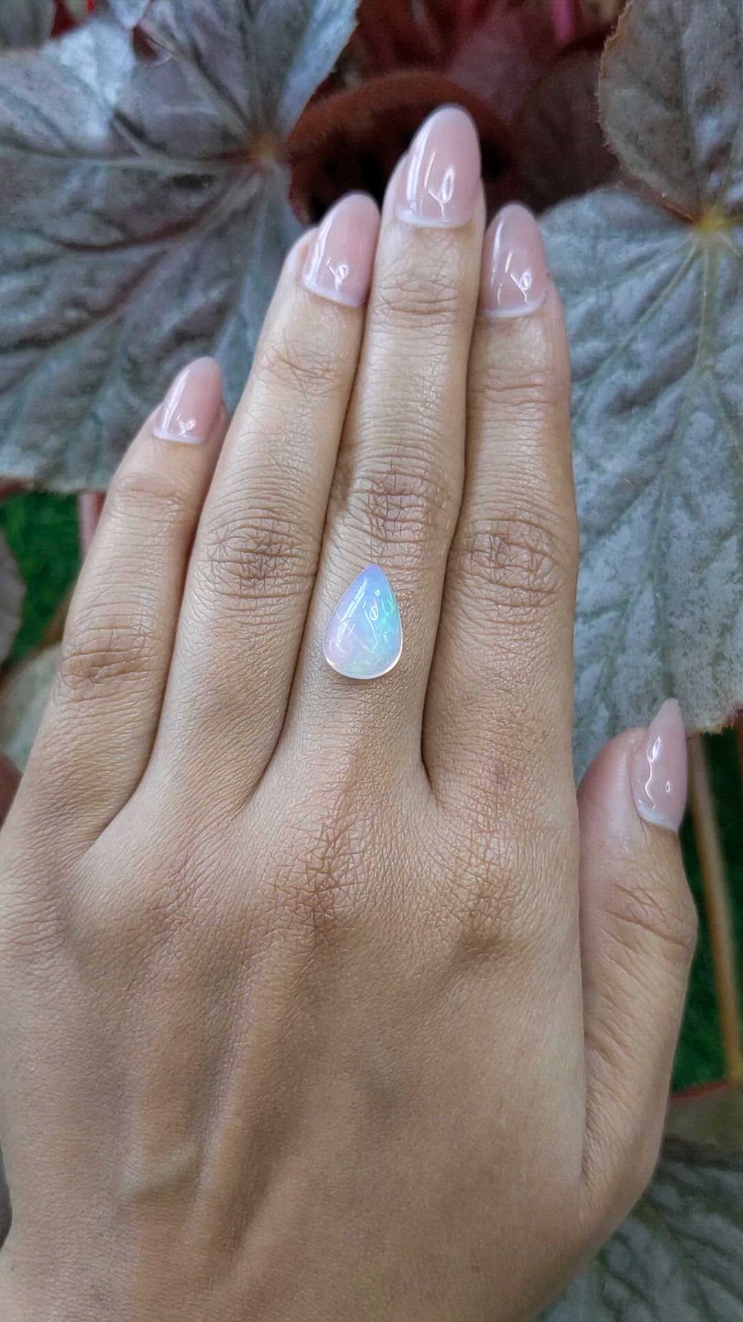 3.37 Ct. Multi Color Cabochon Fire Opal (Flame Opal) from Ethiopia Size Video