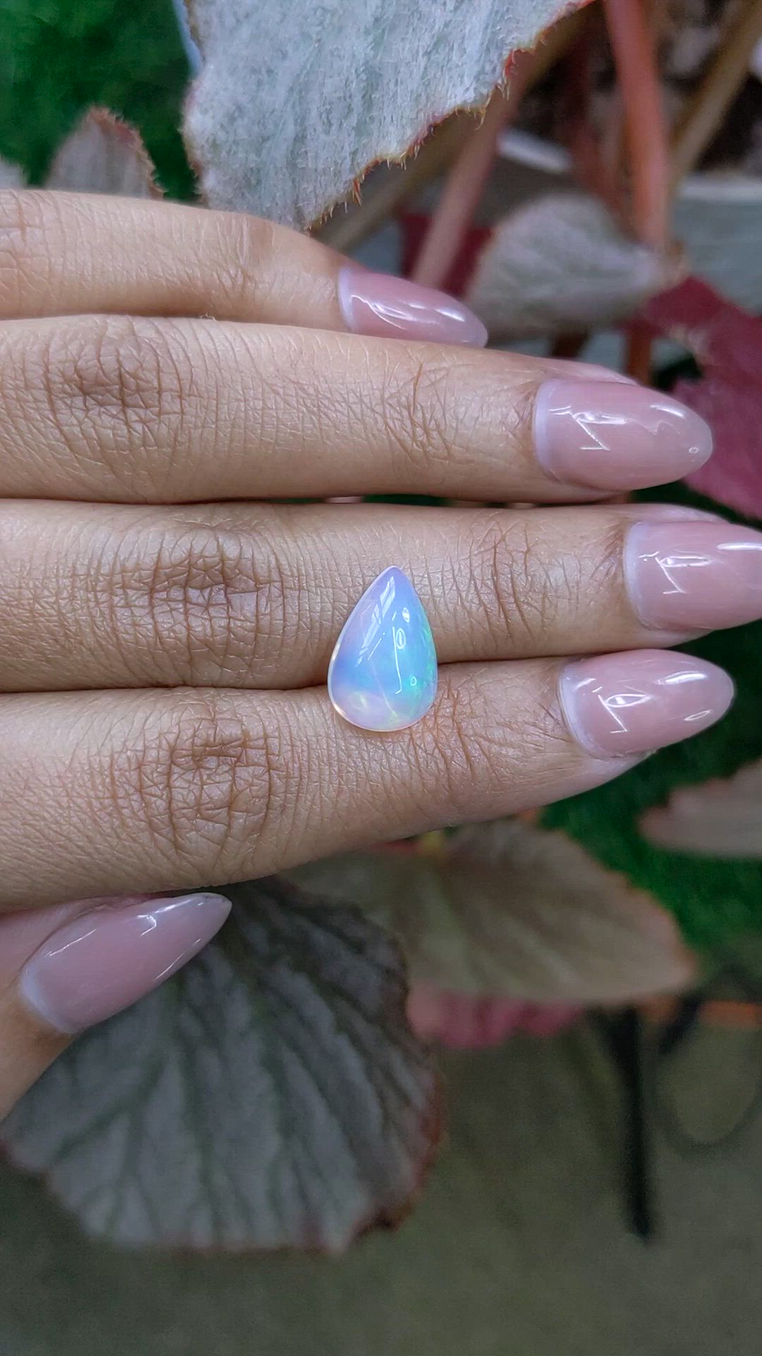 3.37 Ct. Multi Color Cabochon Fire Opal (Flame Opal) from Ethiopia Size Video