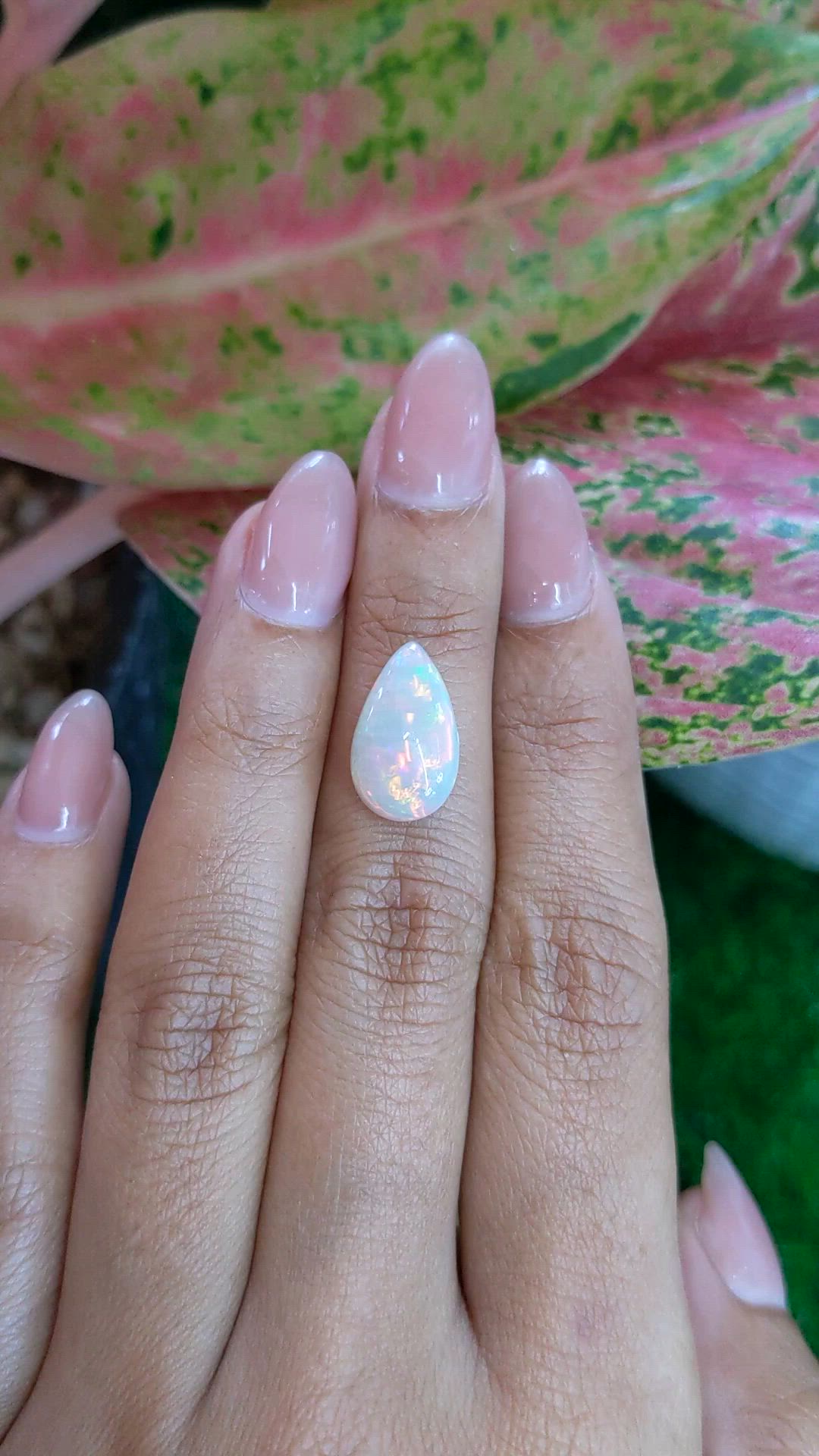 2.50 Ct. Multi Color Cabochon Fire Opal (Flame Opal) from Ethiopia Size Video
