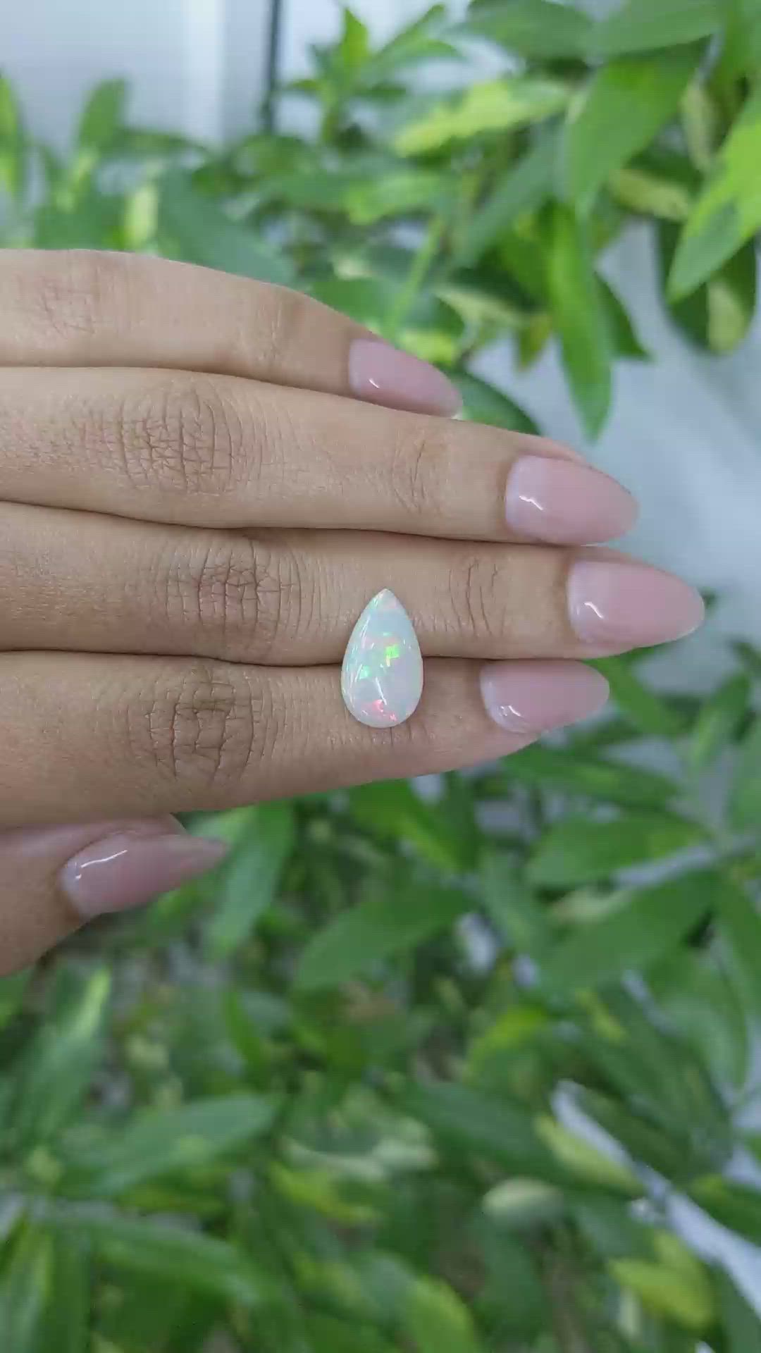 2.50 Ct. Multi Color Cabochon Fire Opal (Flame Opal) from Ethiopia Size Video
