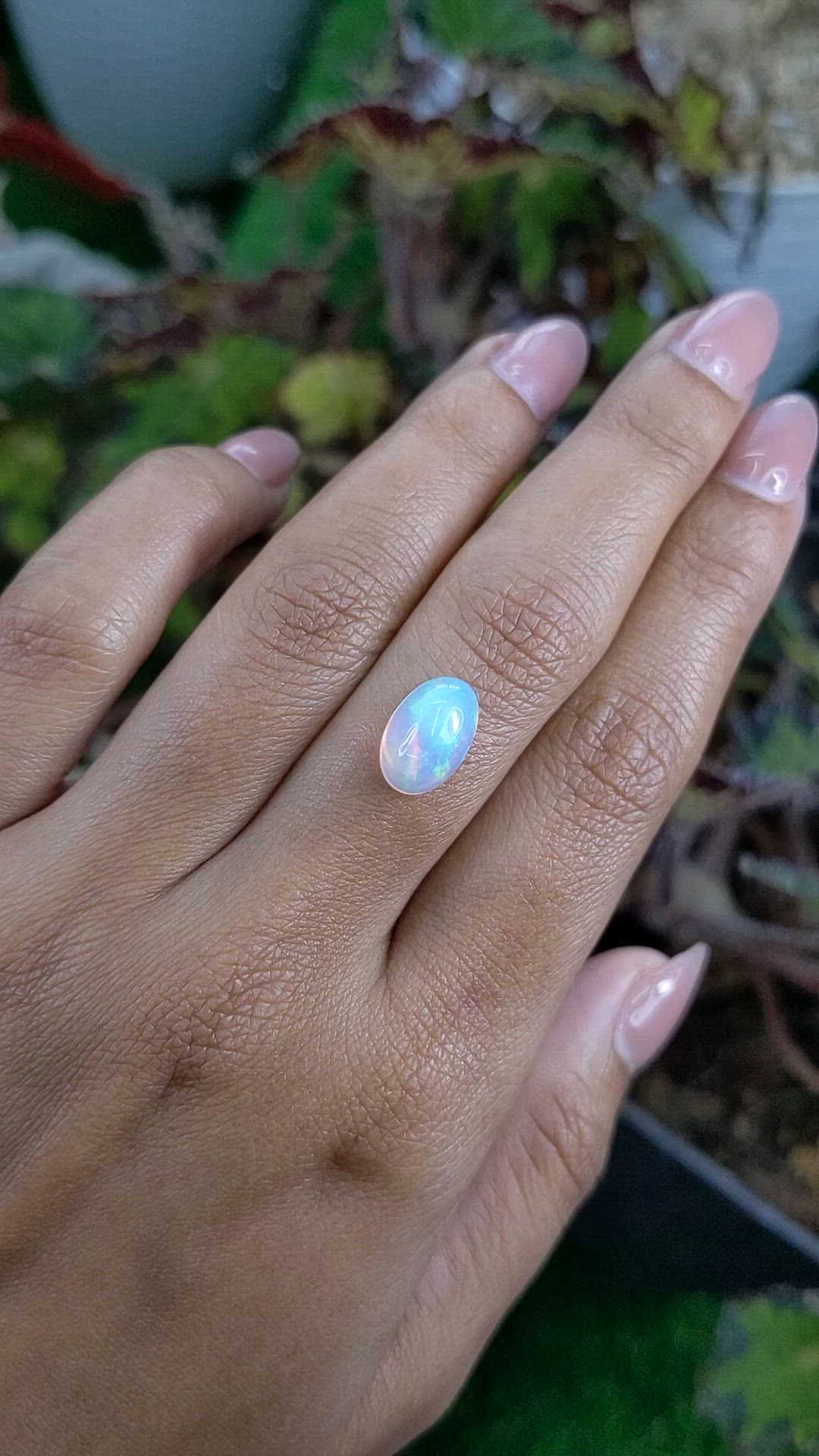 2.21 Ct. Multi Color Cabochon Fire Opal (Flame Opal) from Ethiopia Size Video