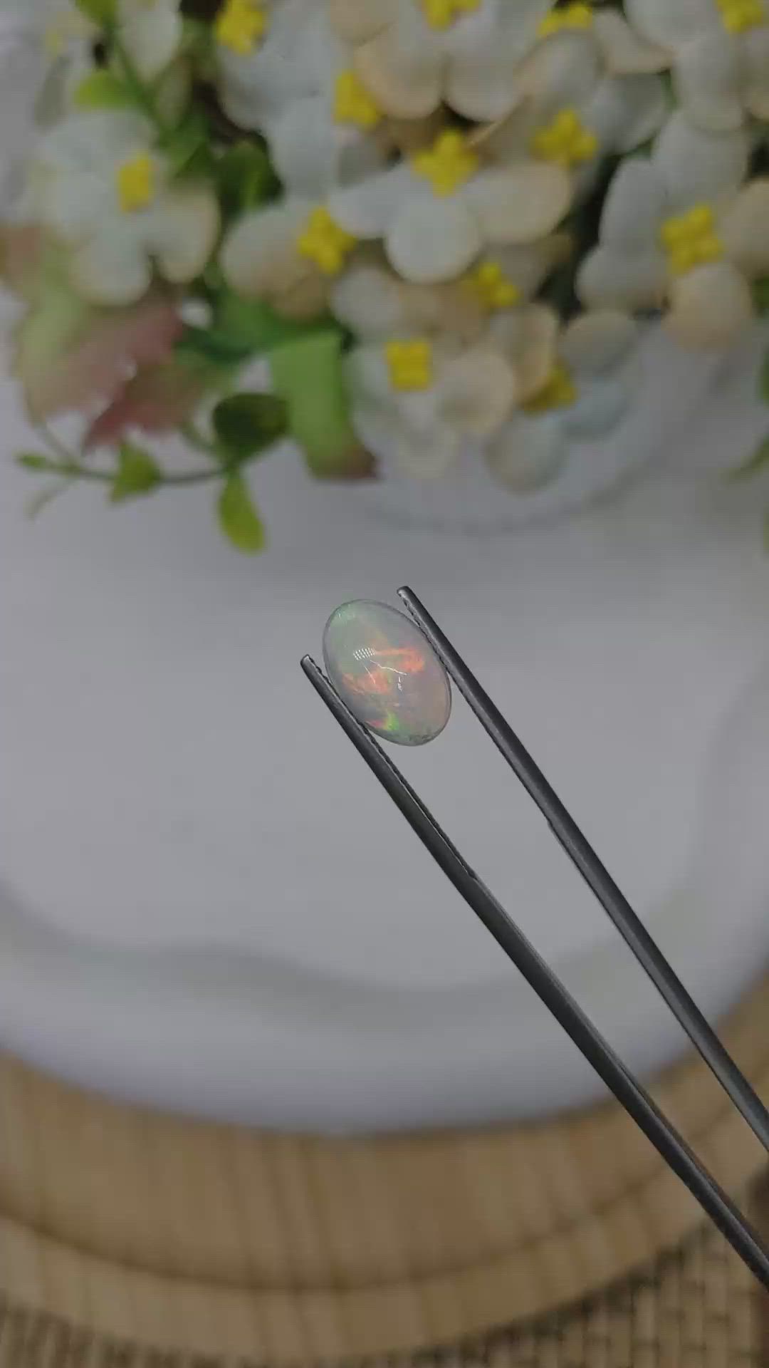 2.21 Ct. Multi Color Cabochon Fire Opal (Flame Opal) from Ethiopia Size Video