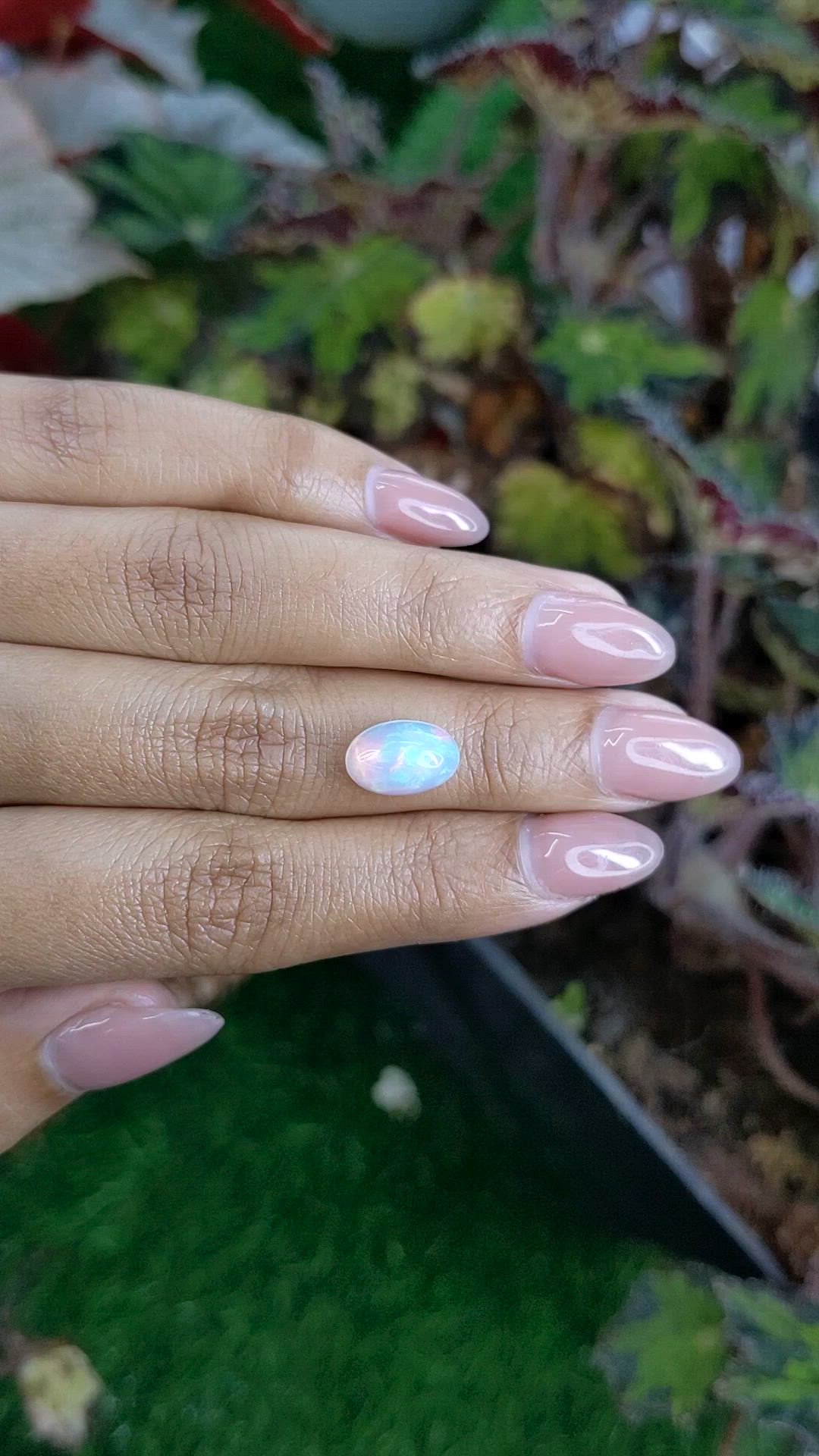 2.21 Ct. Multi Color Cabochon Fire Opal (Flame Opal) from Ethiopia Size Video