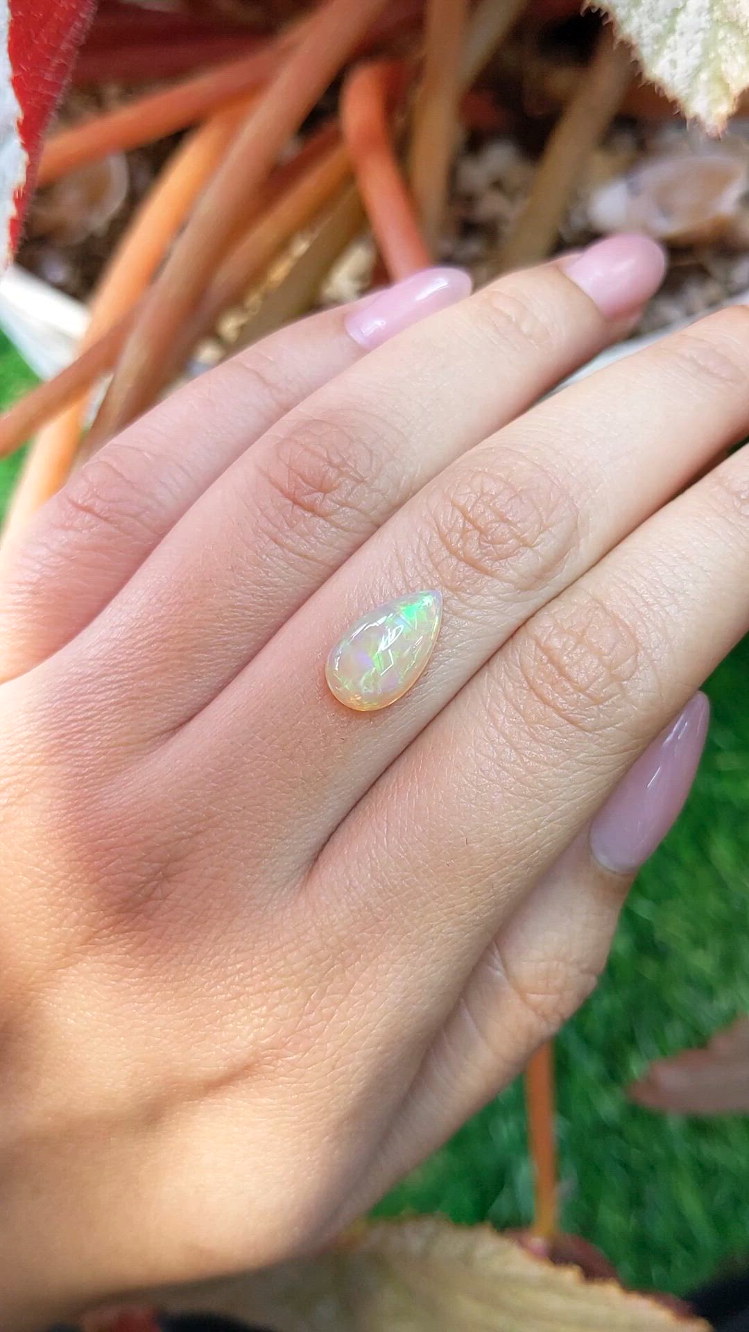 2.38 Ct. Multi Color Cabochon Fire Opal (Flame Opal) from Ethiopia Size Video