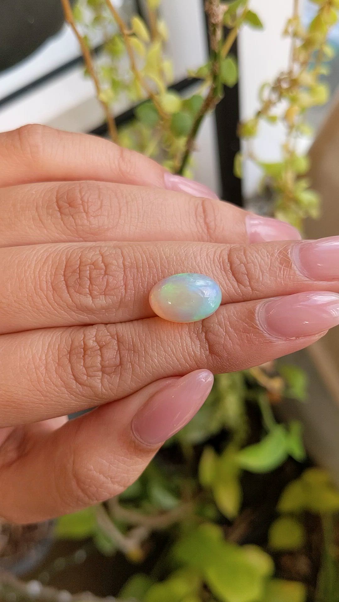 2.90 Ct. Multi Color Cabochon Fire Opal (Flame Opal) from Ethiopia Size Video