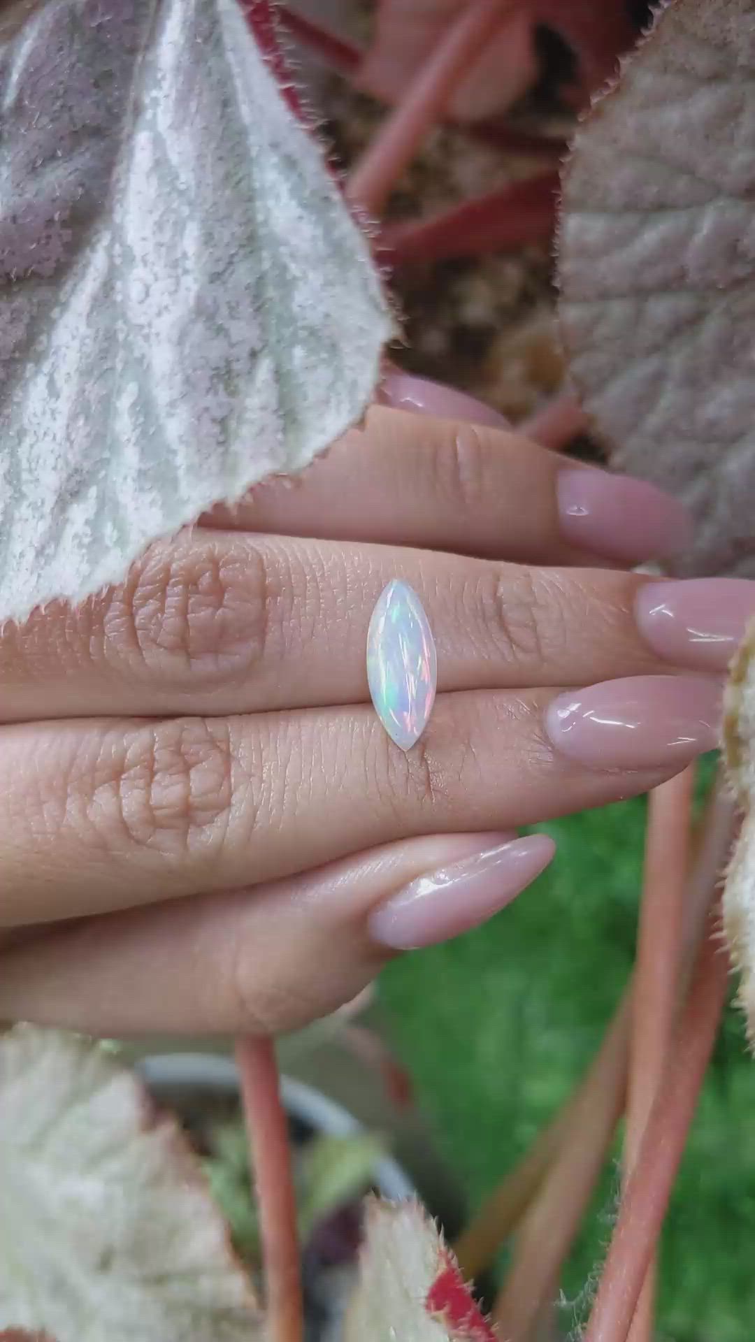 1.73 Ct. Multi Color Cabochon Fire Opal (Flame Opal) from Ethiopia Size Video