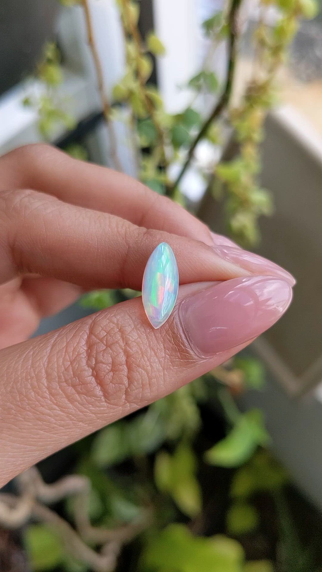 1.73 Ct. Multi Color Cabochon Fire Opal (Flame Opal) from Ethiopia Size Video