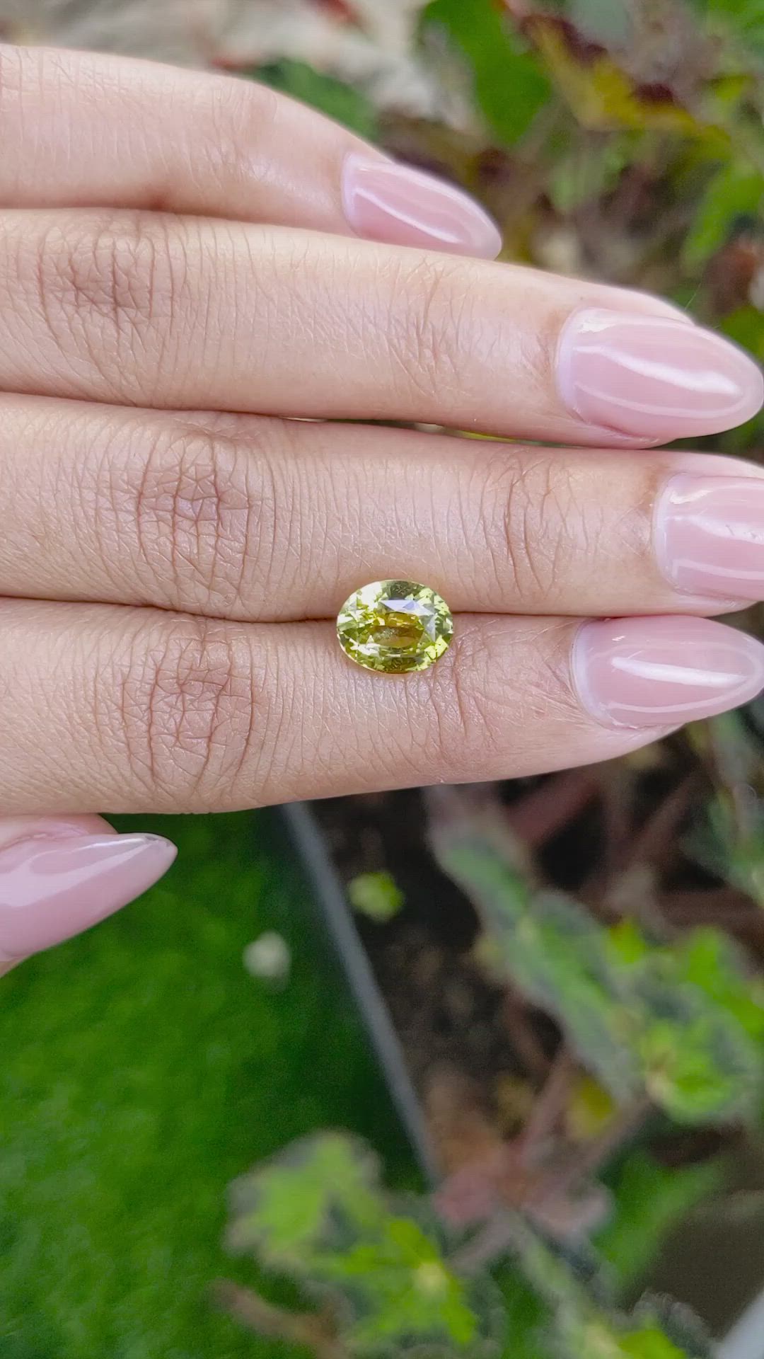 3.21 Ct. Greenish Yellow Chrysoberyl from Ceylon (Sri Lanka) Size Video