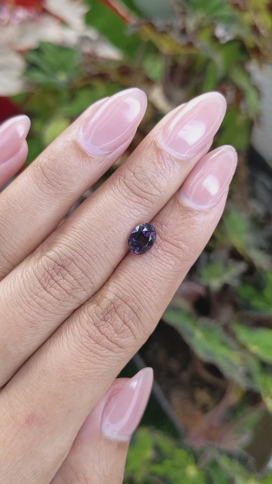 1.30 Ct. Purple Spinel from Ceylon (Sri Lanka) Size Video