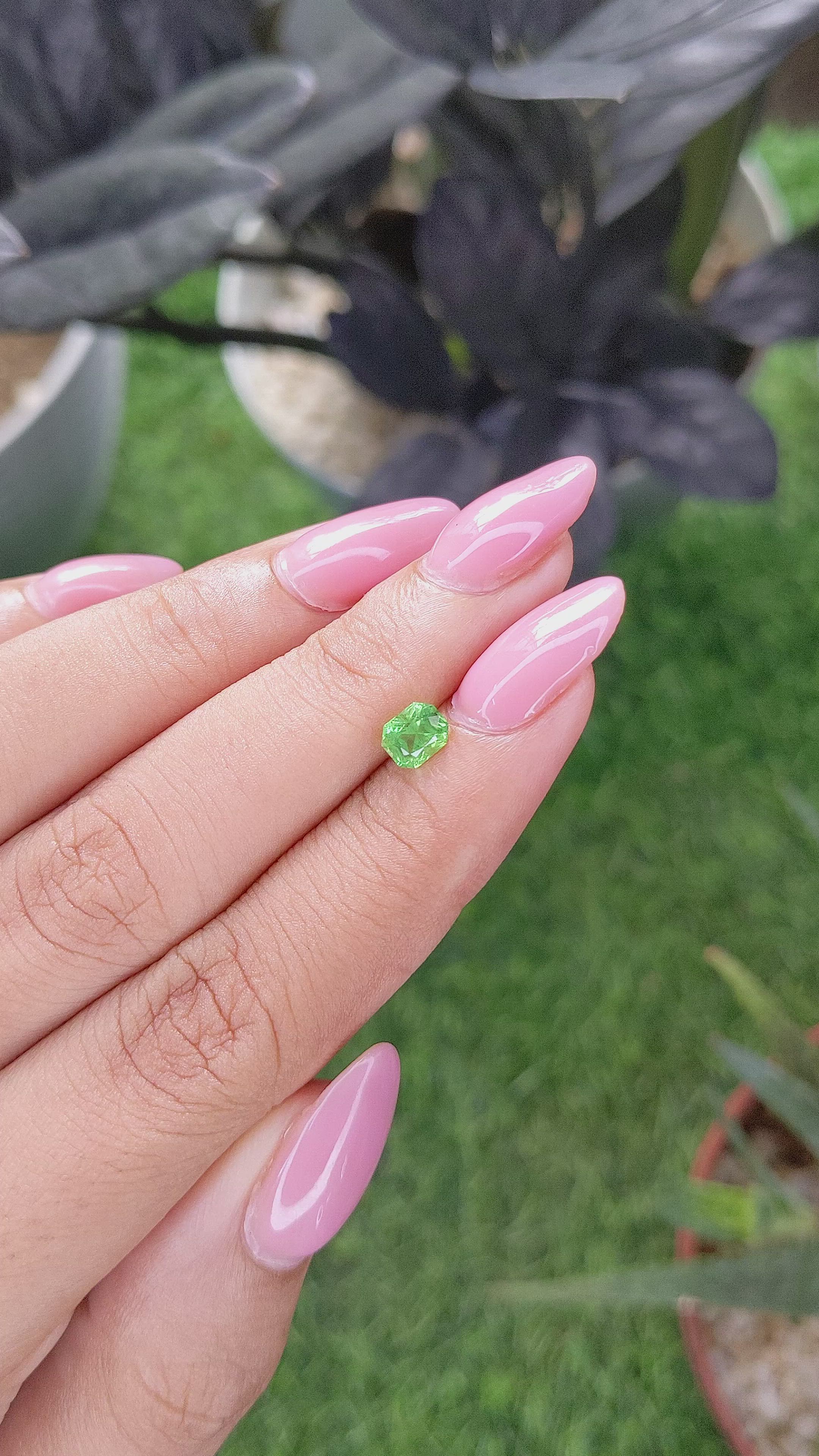 0.68 Ct. Tsavorite Garnet from Tanzania Size Video
