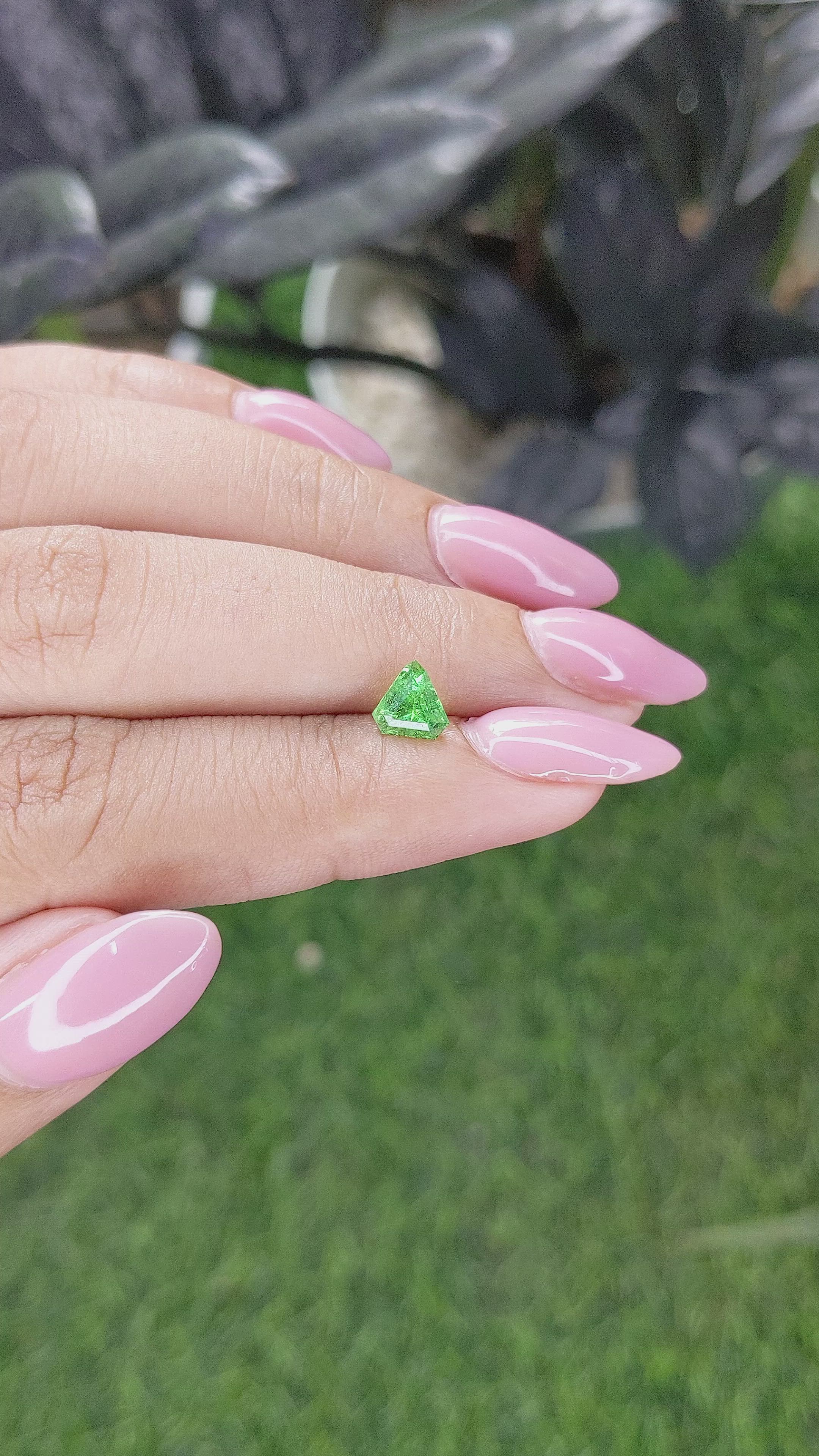 0.81 Ct. Tsavorite Garnet from Tanzania Size Video