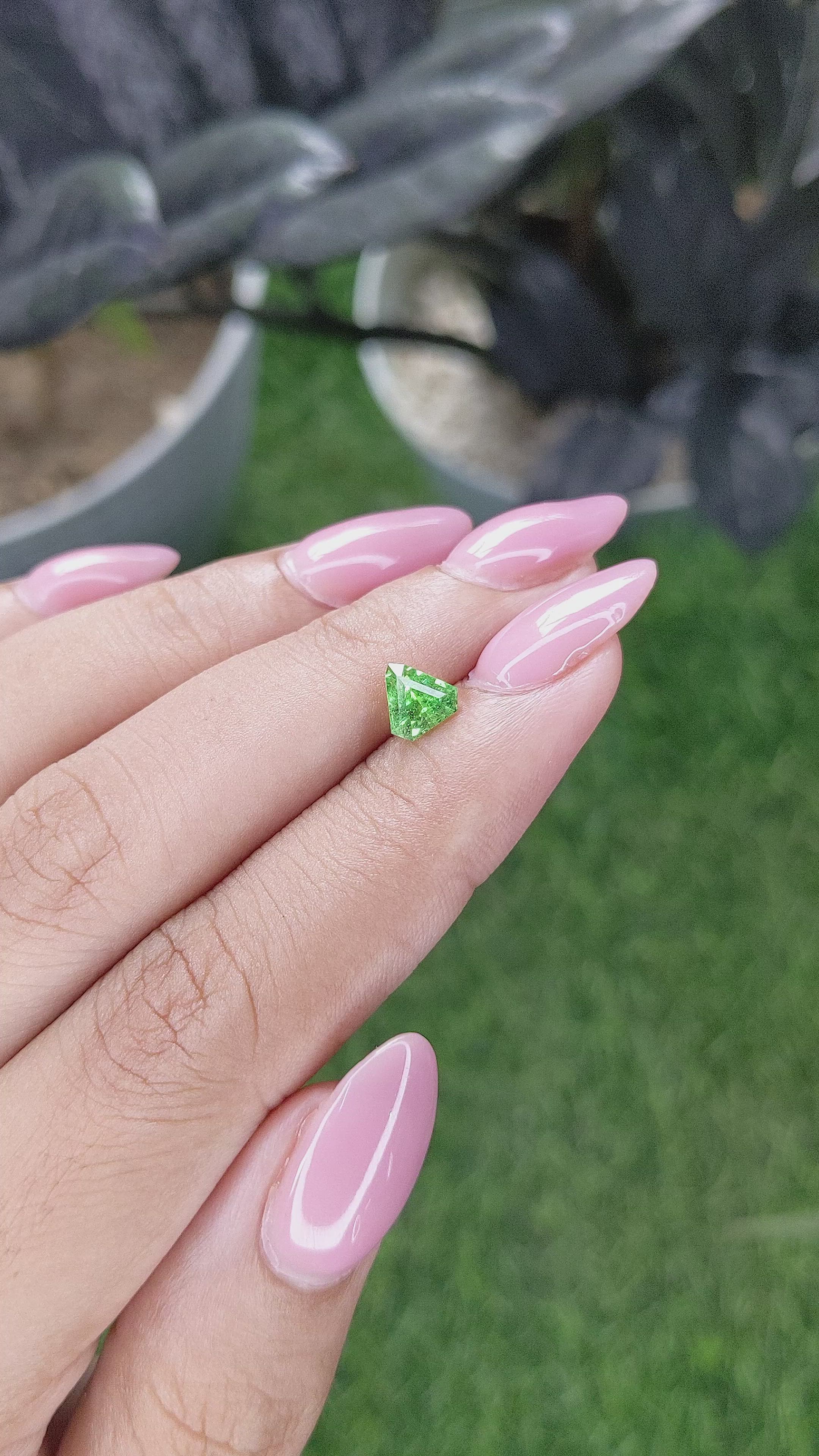 0.81 Ct. Tsavorite Garnet from Tanzania Size Video