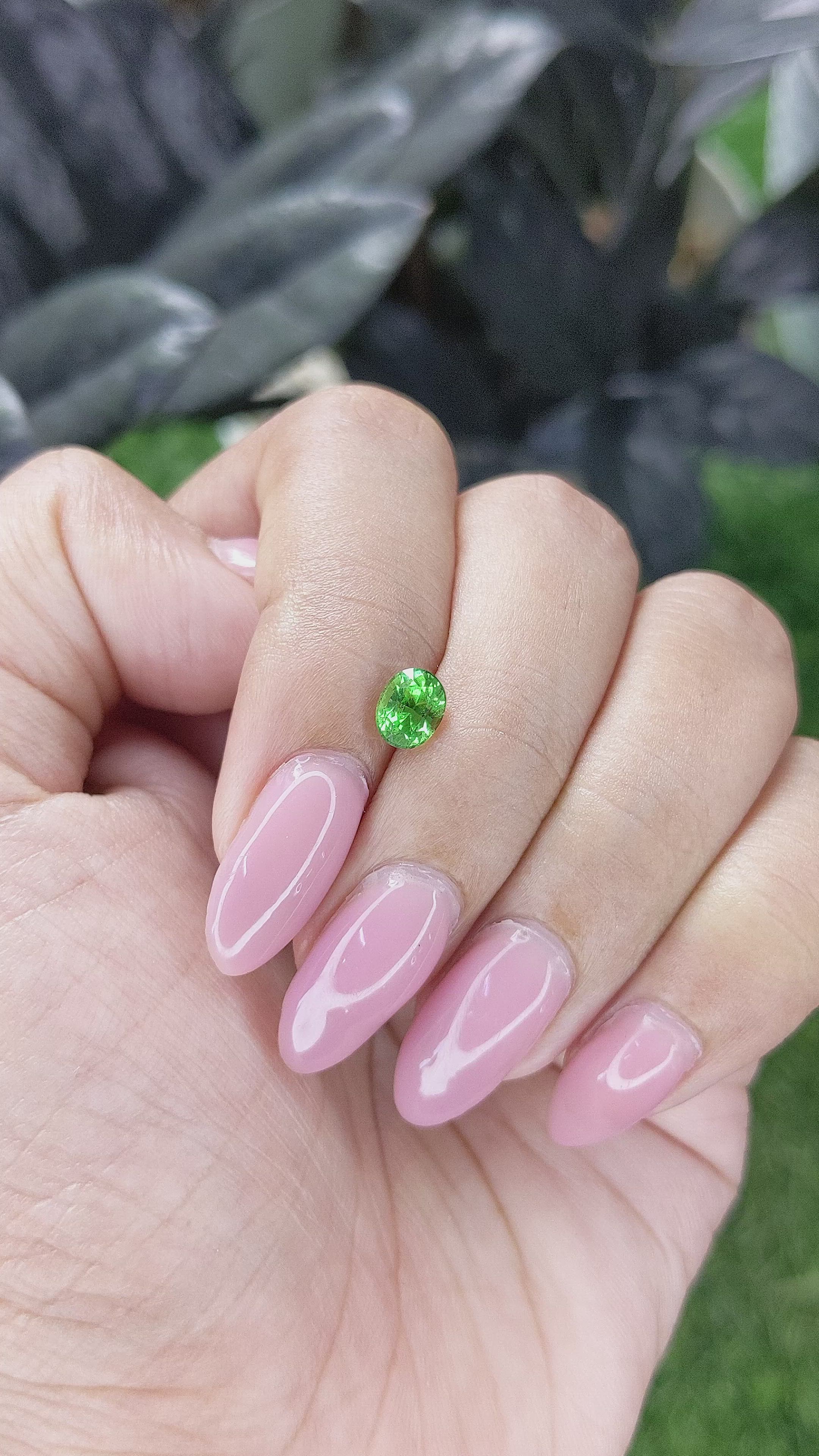 0.83 Ct. Tsavorite Garnet from Tanzania Size Video