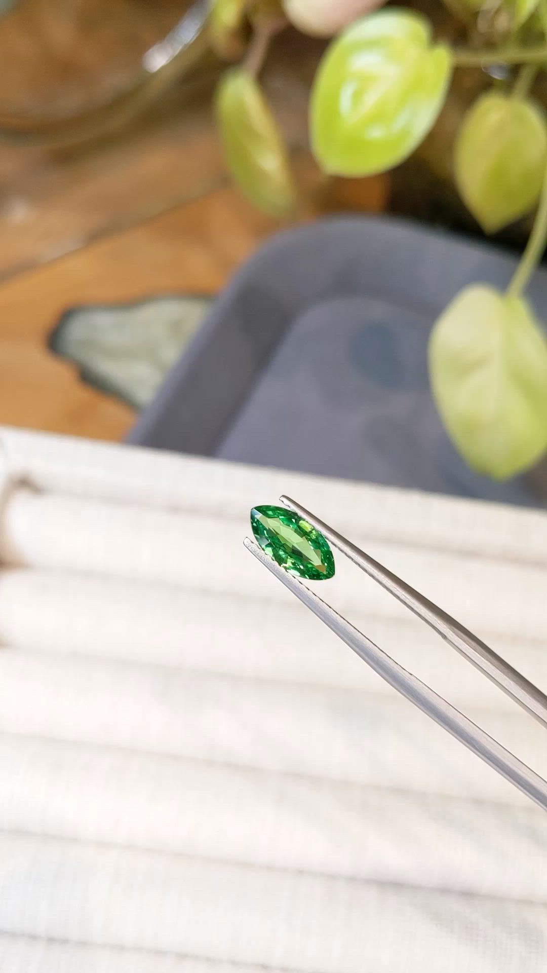1.19 Ct. Tsavorite Garnet from Tanzania Size Video