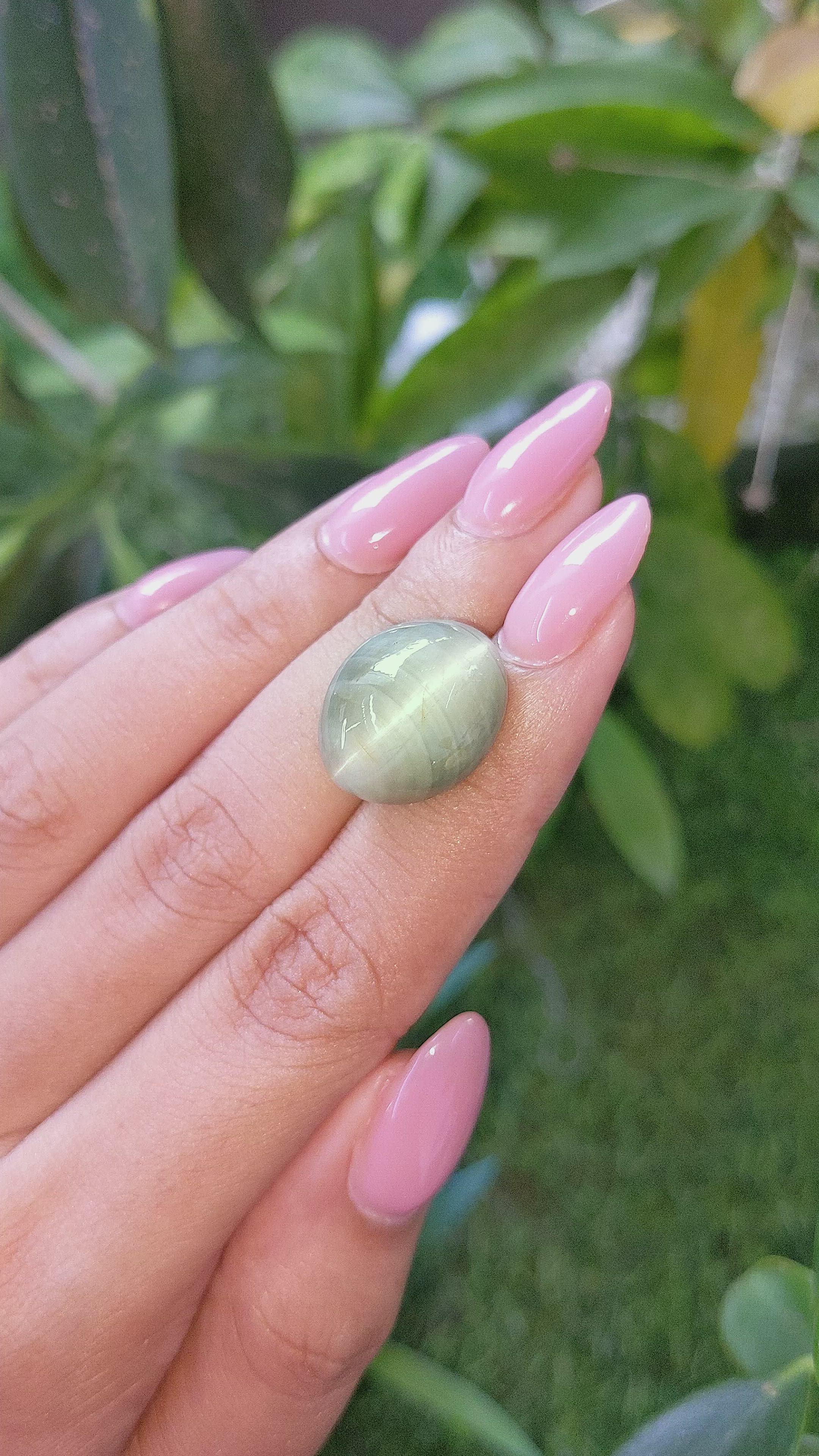 27.74 Ct. Green Cabochon Chrysoberyl from Ceylon (Sri Lanka) Size Video