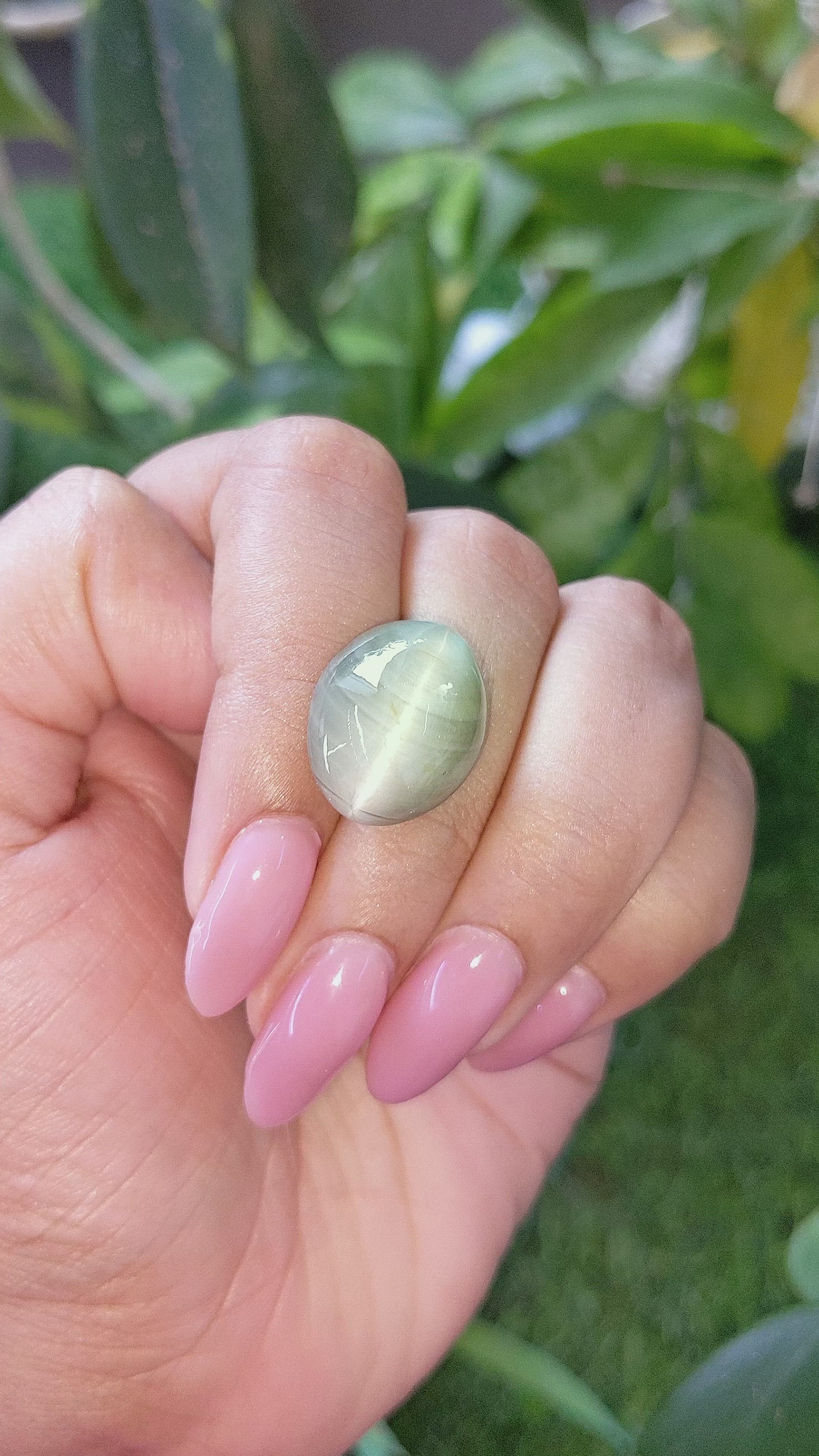 27.74 Ct. Green Cabochon Chrysoberyl from Ceylon (Sri Lanka) Size Video