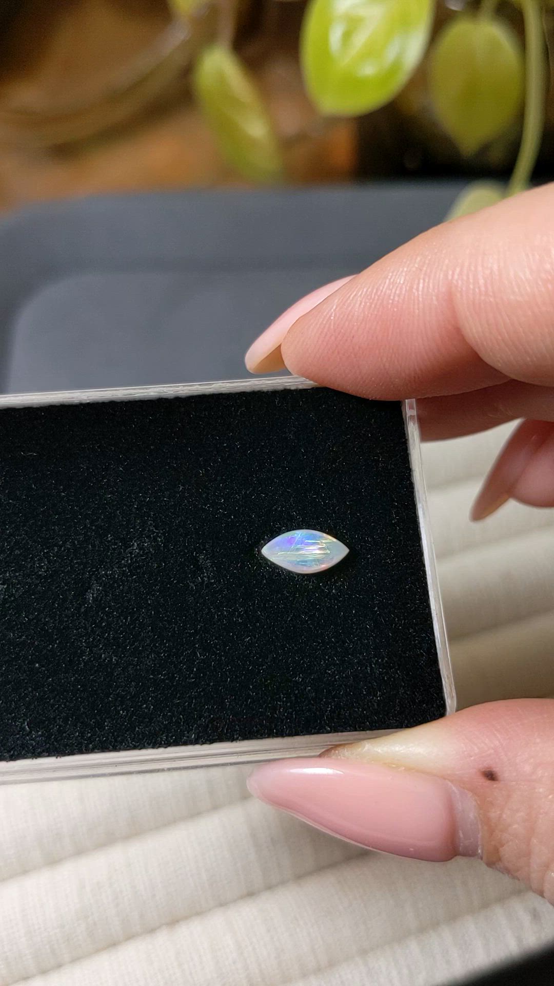 0.37 Ct. Multi Color Cabochon White Opal (Light Opal) from Australia Size Video