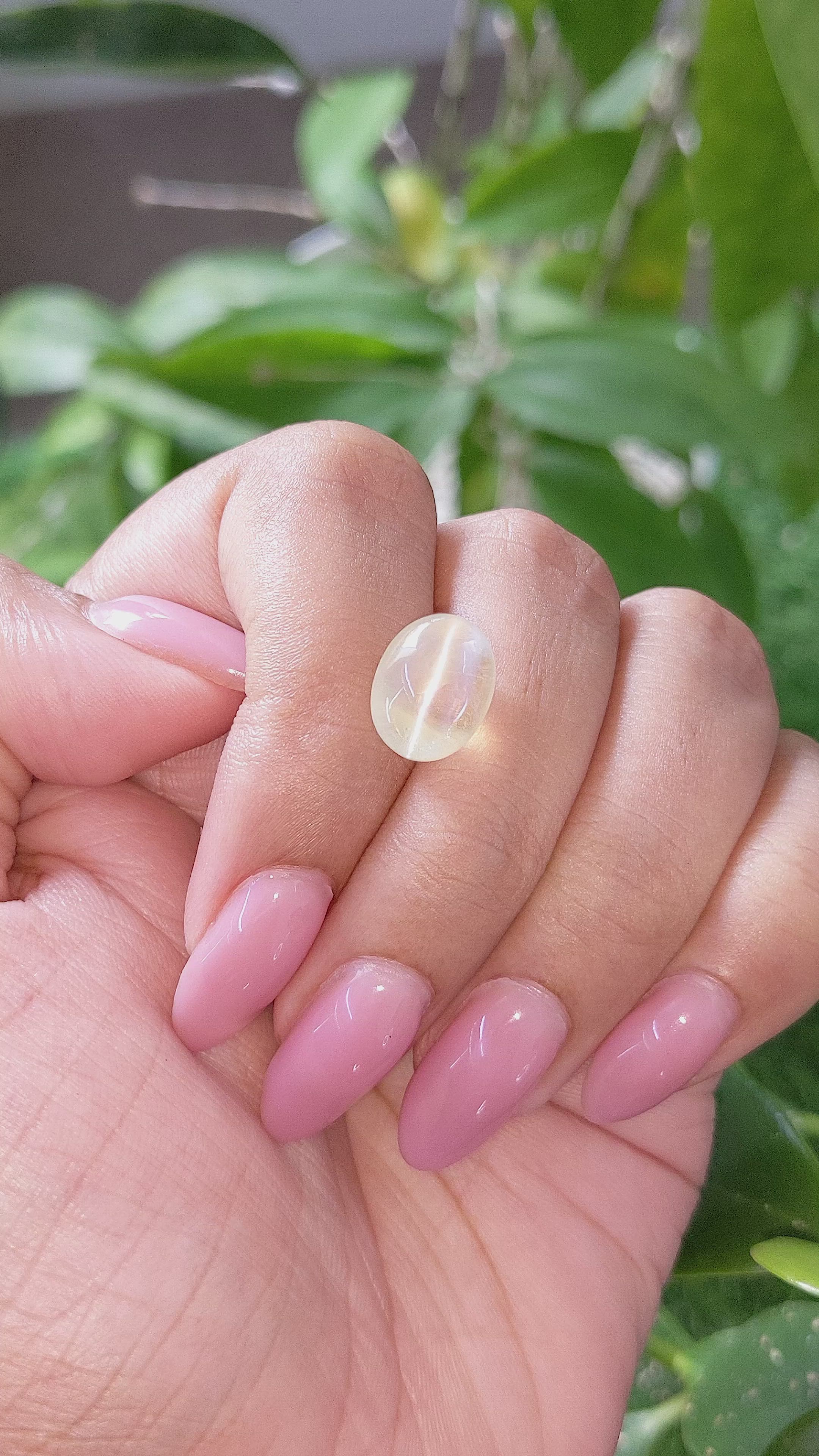 7.18 Ct. Yellowish Green Cabochon Chrysoberyl from Ceylon (Sri Lanka) Size Video