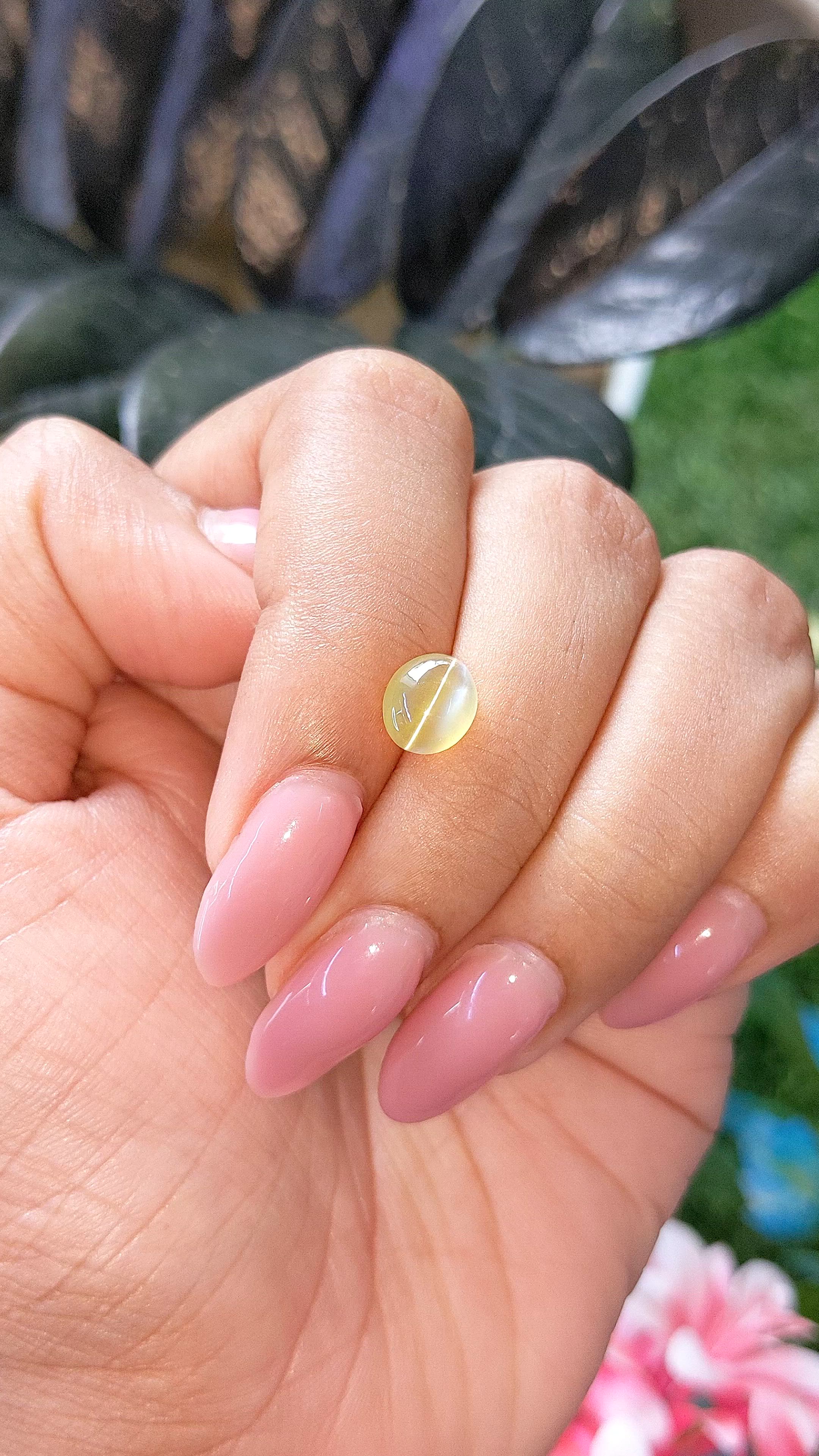 1.88 Ct. Yellowish Green Cabochon Chrysoberyl from Tanzania Size Video