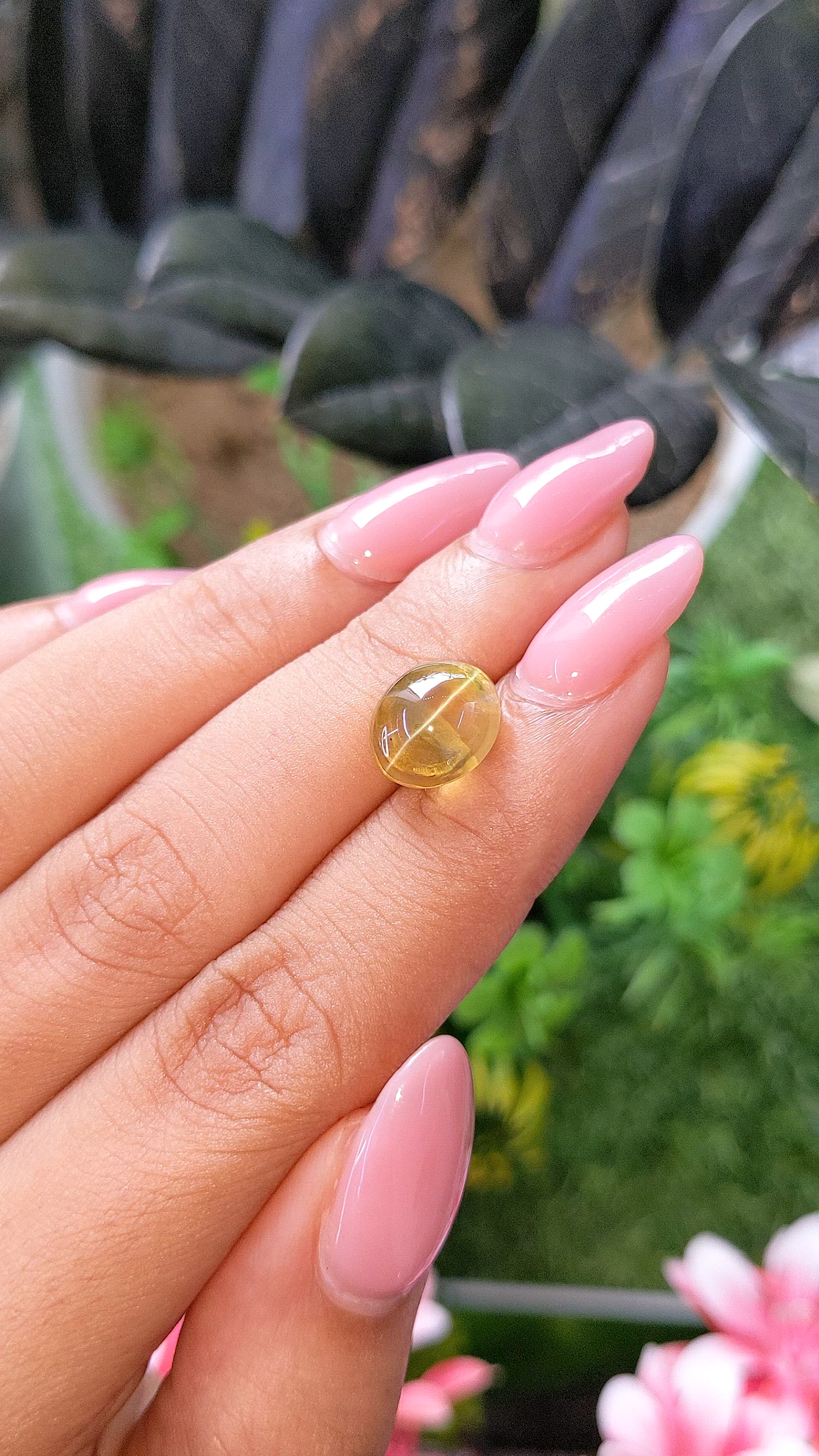 6.63 Ct. Yellowish Green Cabochon Chrysoberyl from Tanzania Size Video