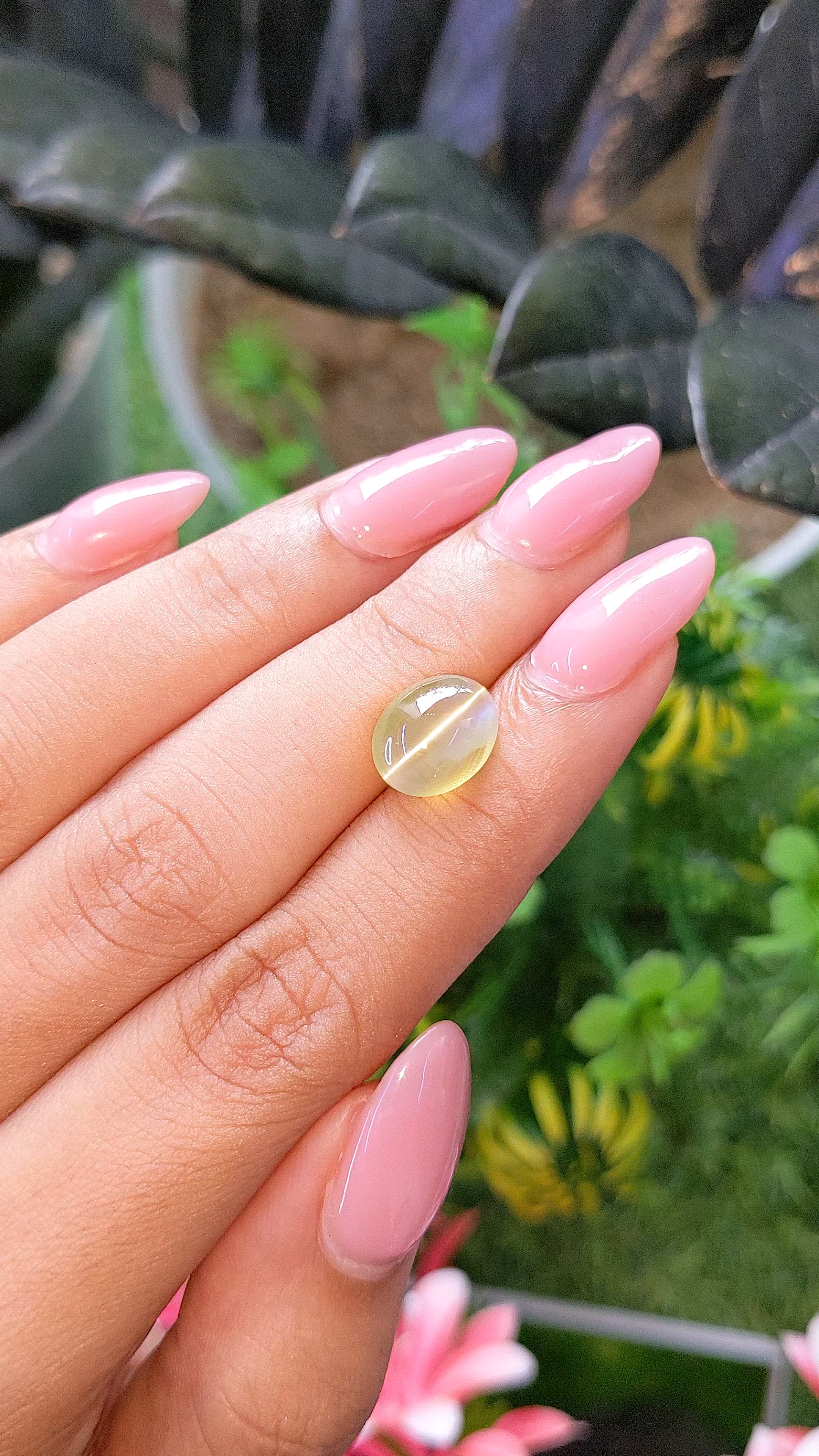 5.20 Ct. Yellowish Green Cabochon Chrysoberyl from Tanzania Size Video