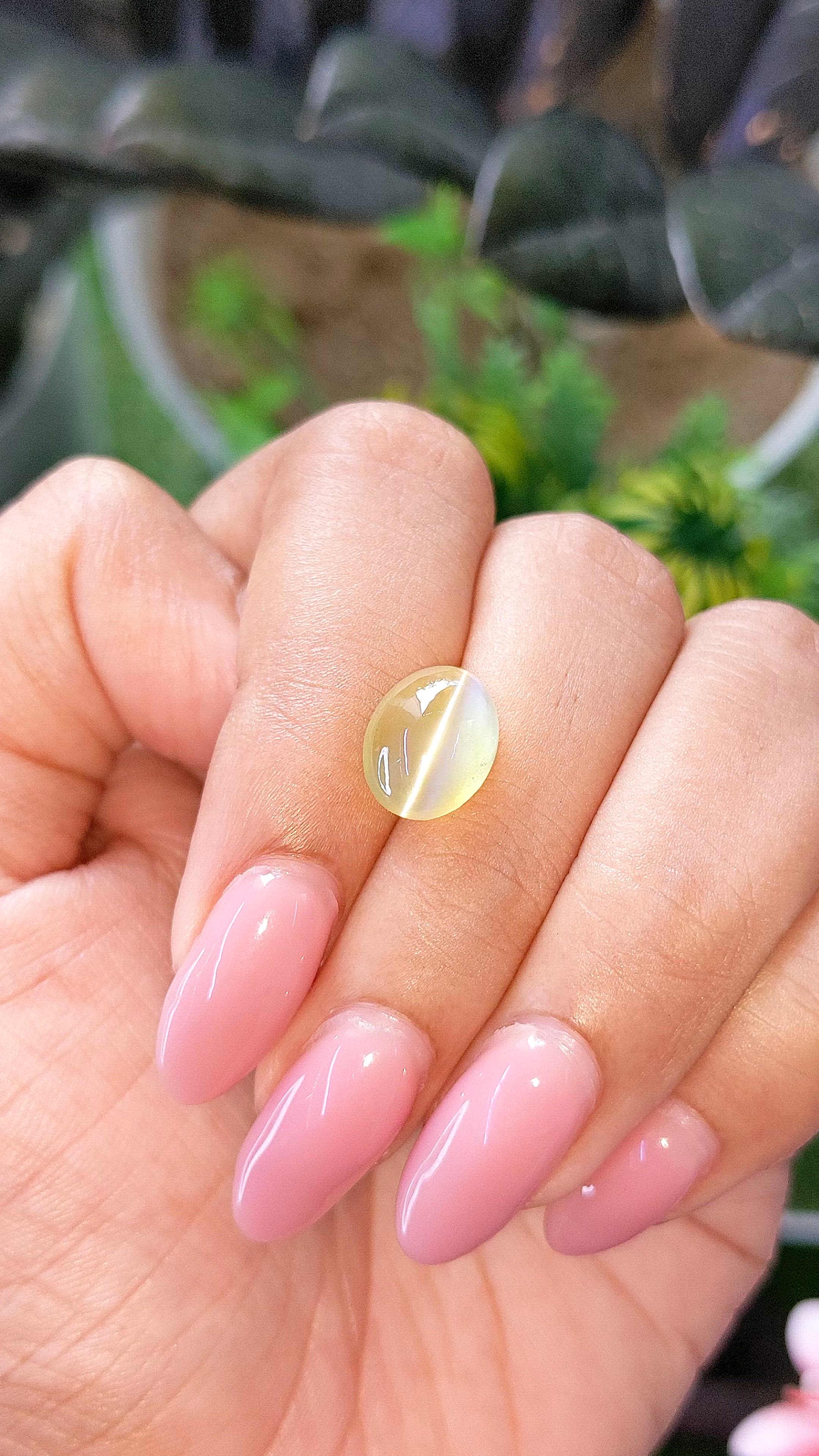 5.20 Ct. Yellowish Green Cabochon Chrysoberyl from Tanzania Size Video