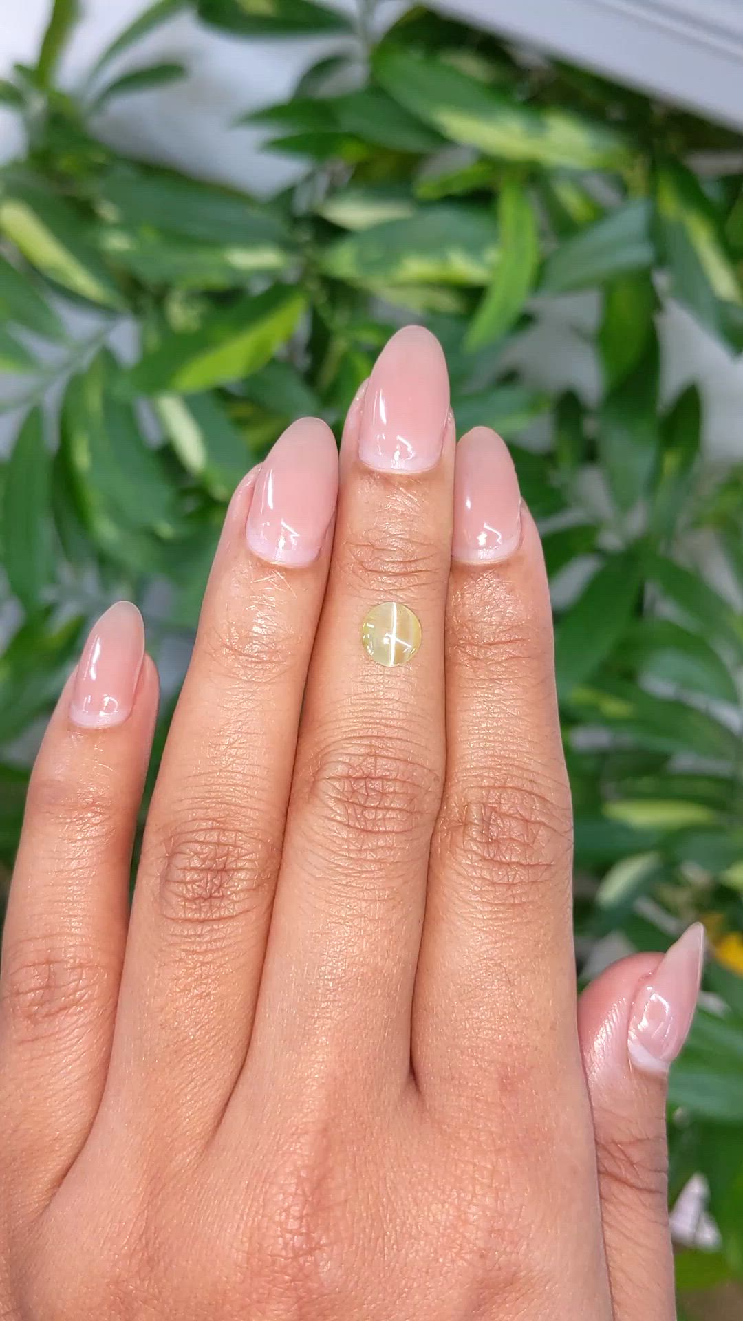 1.11 Ct. Greenish Yellow Cabochon Chrysoberyl from Ceylon (Sri Lanka) Size Video