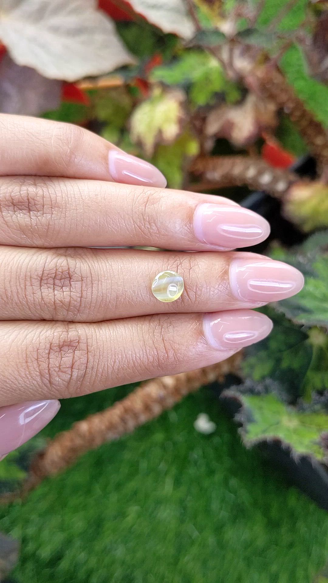 1.11 Ct. Greenish Yellow Cabochon Chrysoberyl from Ceylon (Sri Lanka) Size Video